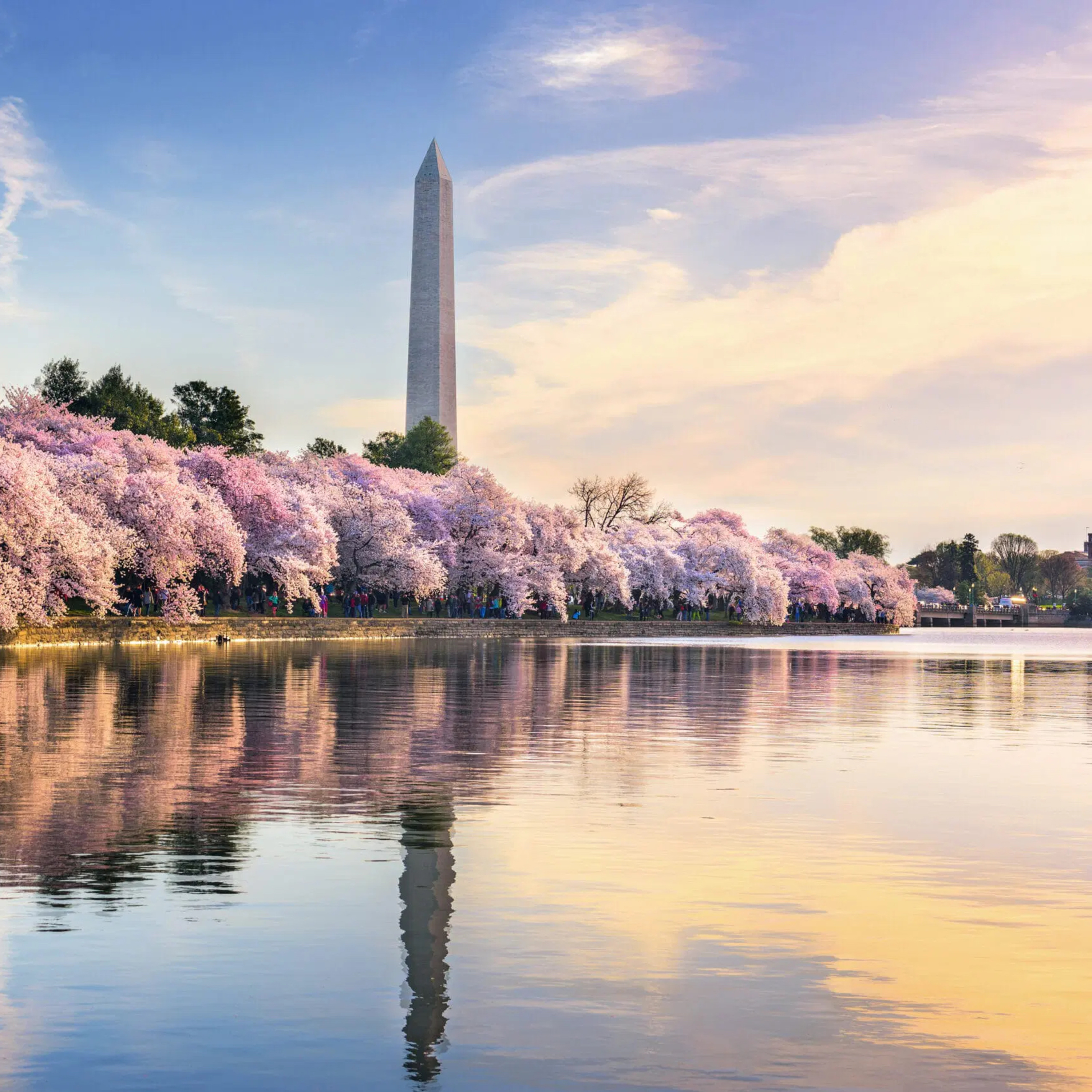 DỌC NGANG NƯỚC MỸ | DISTRICT OF COLUMBIA episode artwork