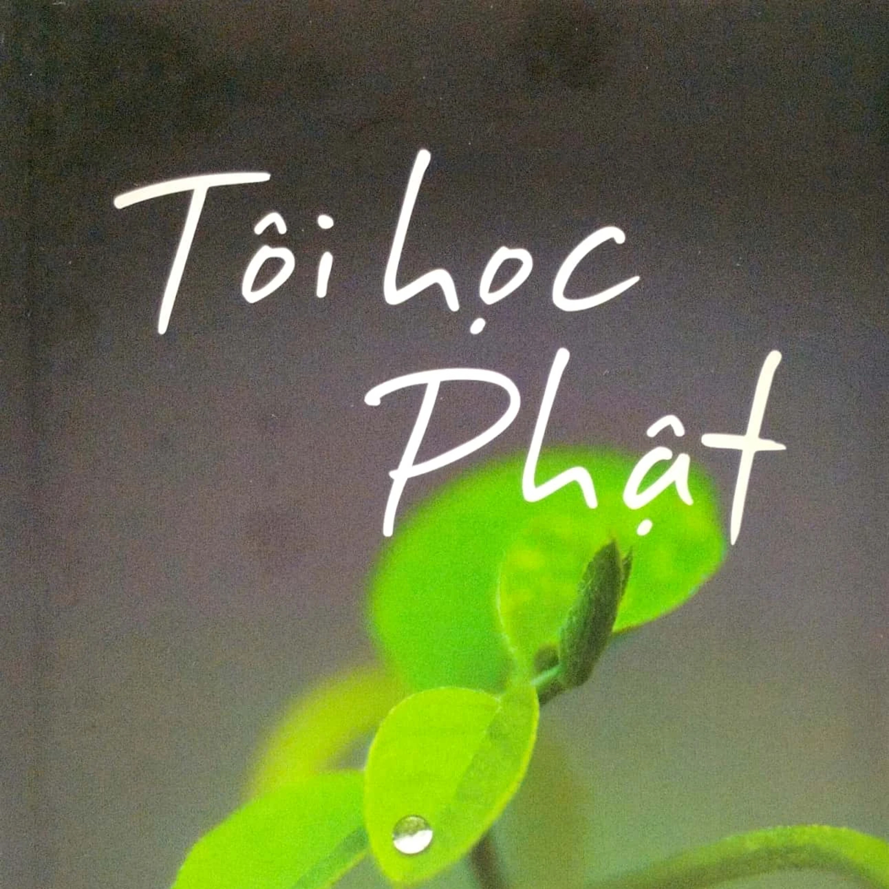 TÔI HỌC PHẬT | NGHĨ TỪ TRÁI TIM : BÁT NHÃ TÂM KINH - MỘT CHÚT LỊCH SỬ episode artwork