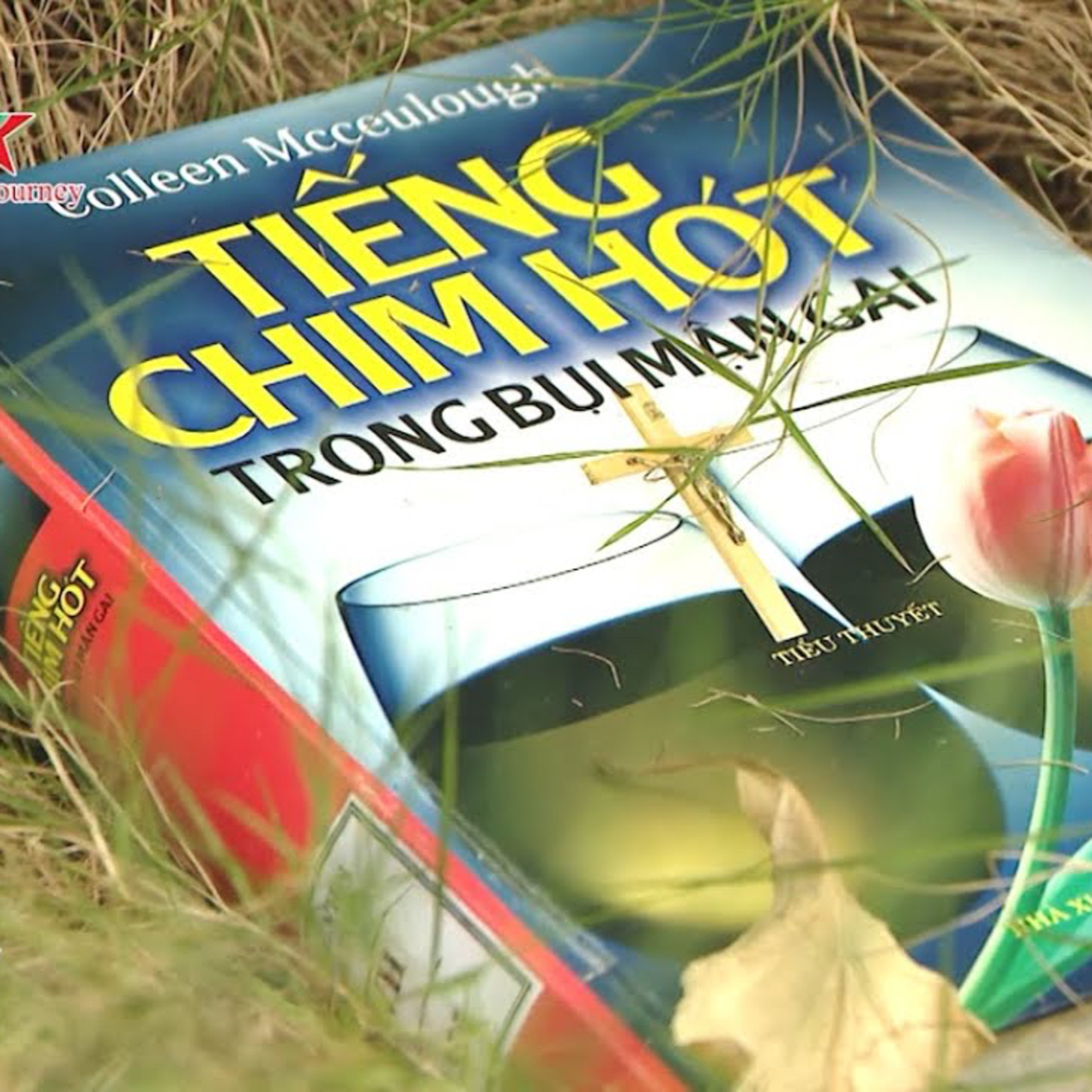 TIẾNG CHIM HÓT TRONG BỤI MẬN GAI | CHƯƠNG 1 episode artwork
