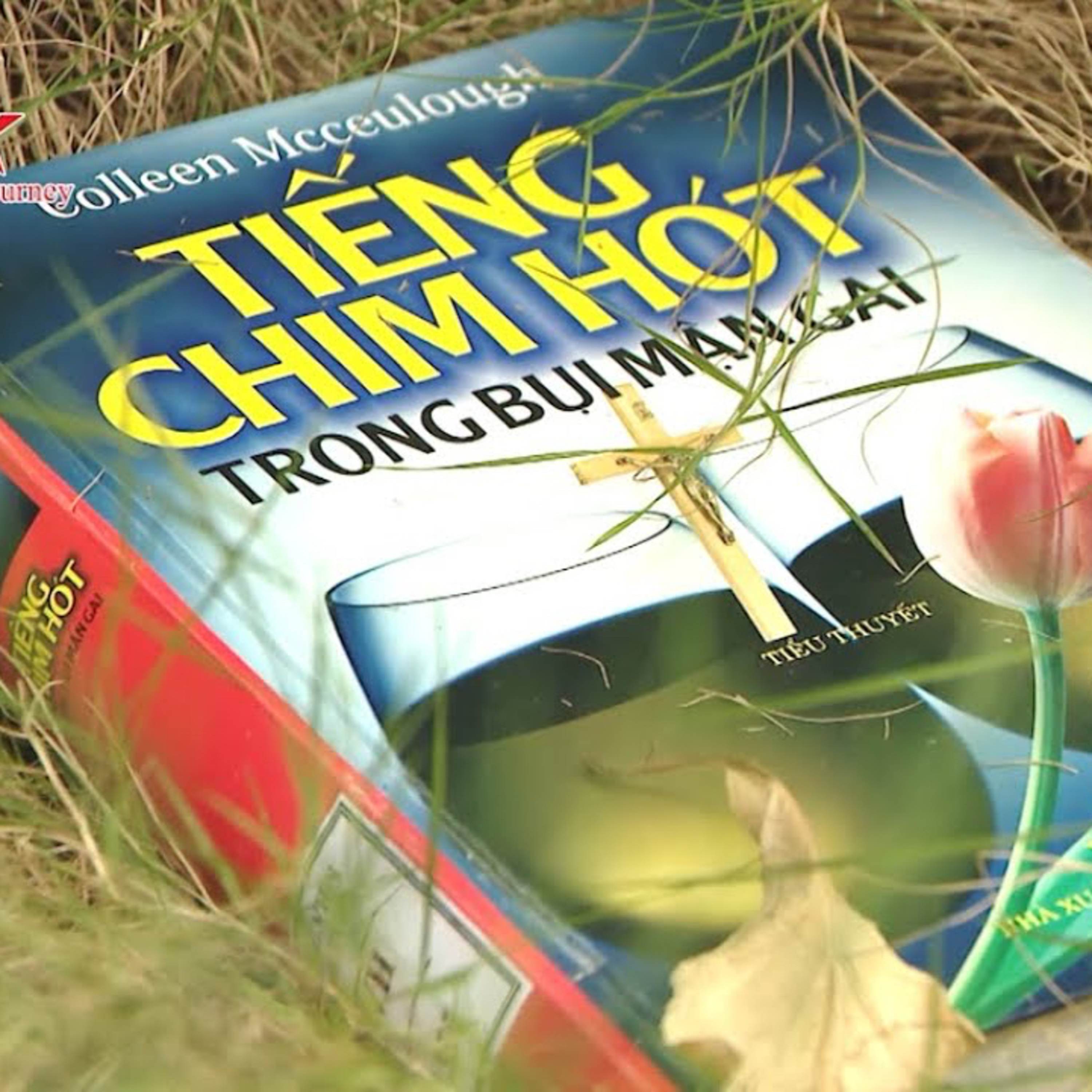 TIẾNG CHIM HÓT TRONG BỤI MẬN GAI | CHƯƠNG 3 episode artwork