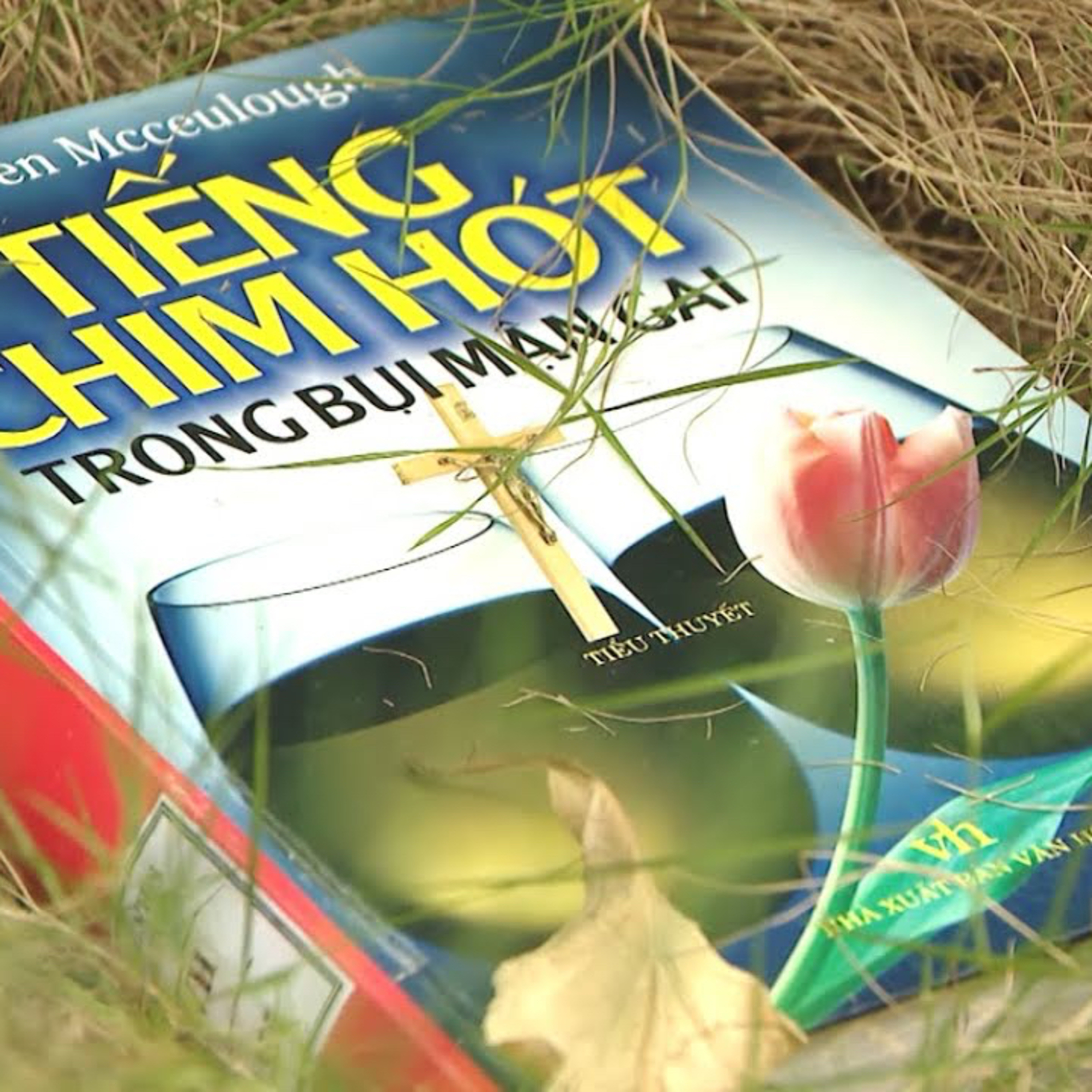 TIẾNG CHIM HÓT TRONG BỤI MẬN GAI | CHƯƠNG 5 episode artwork