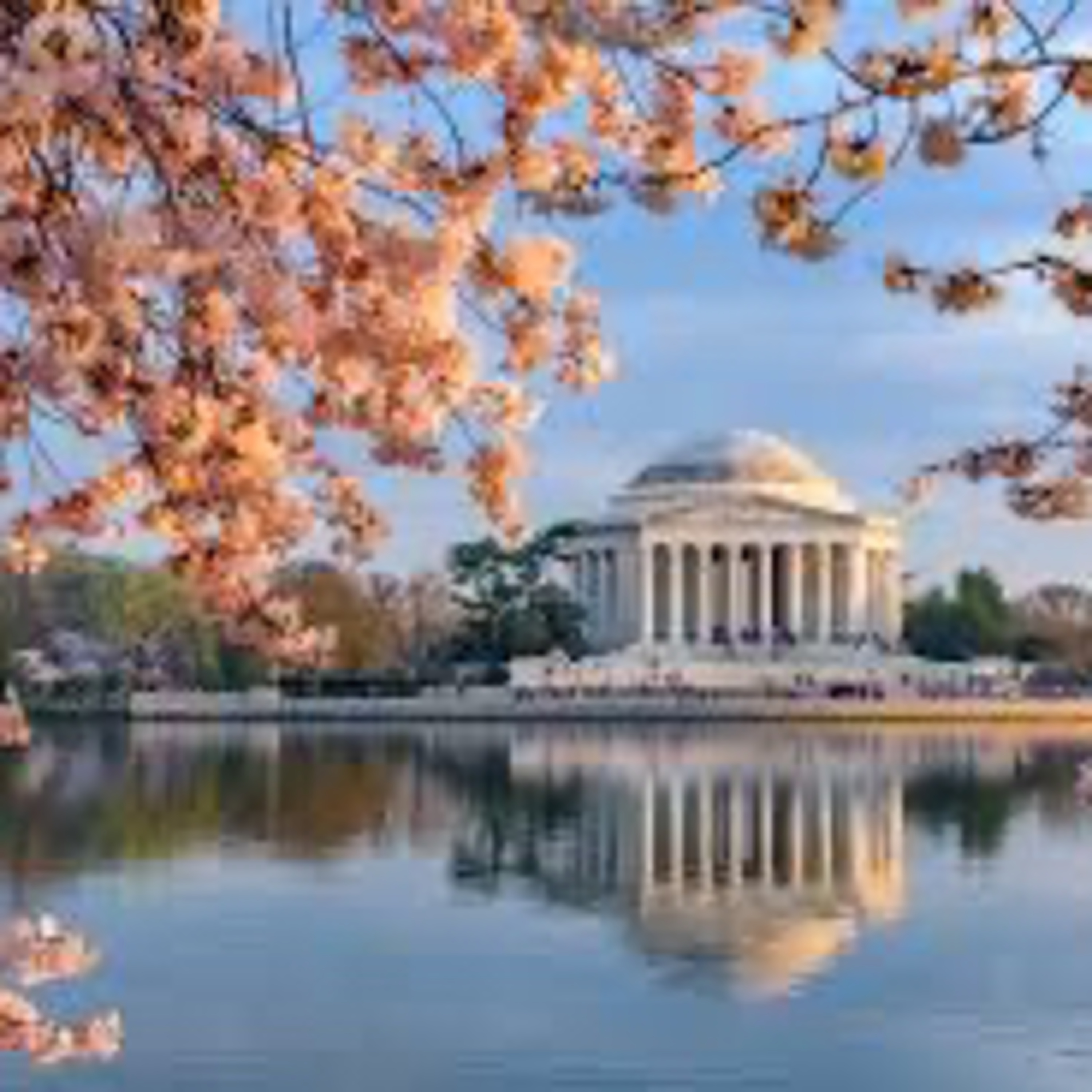 DỌC NGANG NƯỚC MỸ | DISTRICT OF COLUMBIA - PHẦN 1 episode artwork