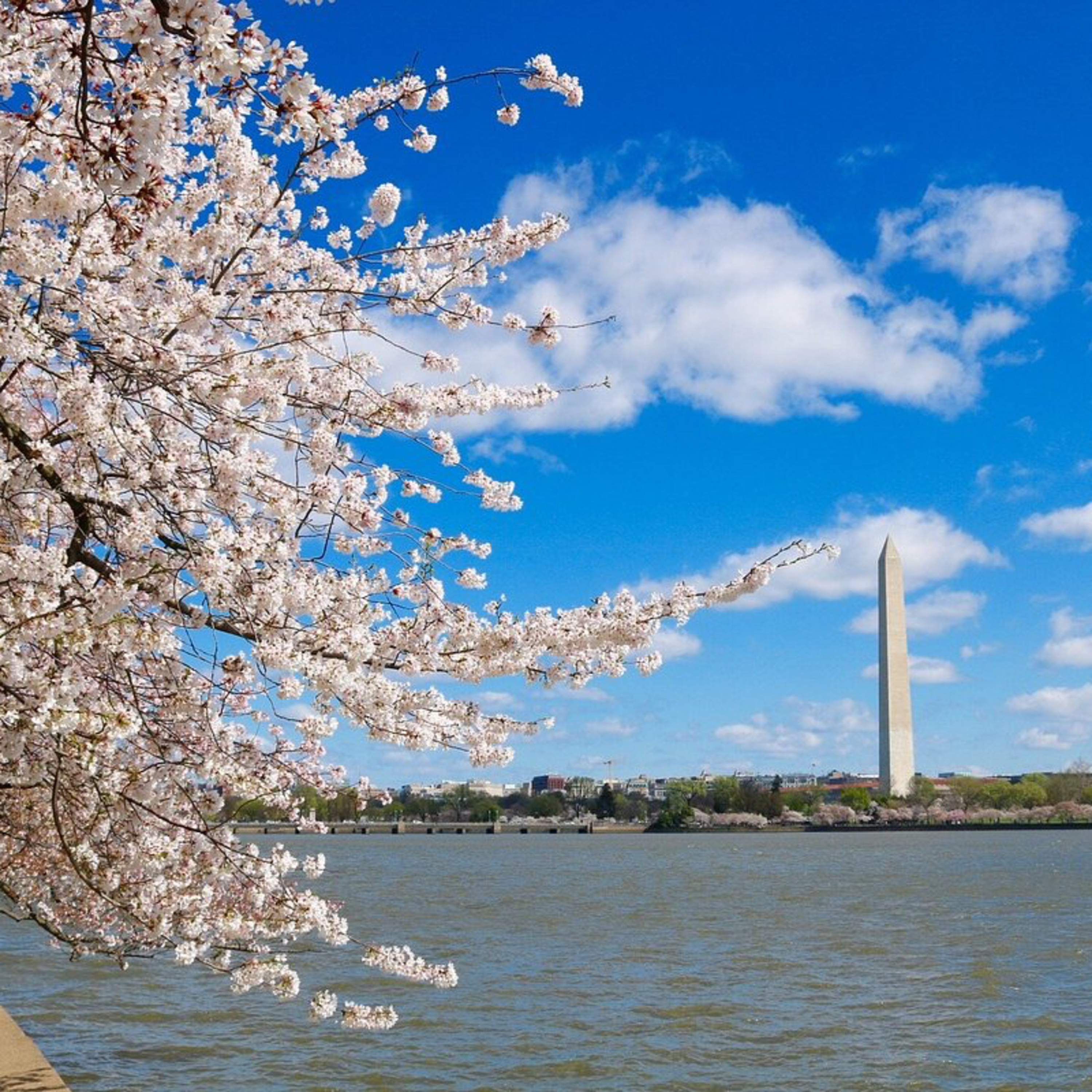 DỌC NGANG NƯỚC MỸ | DISTRICT OF COLUMBIA - PHẦN 2 episode artwork