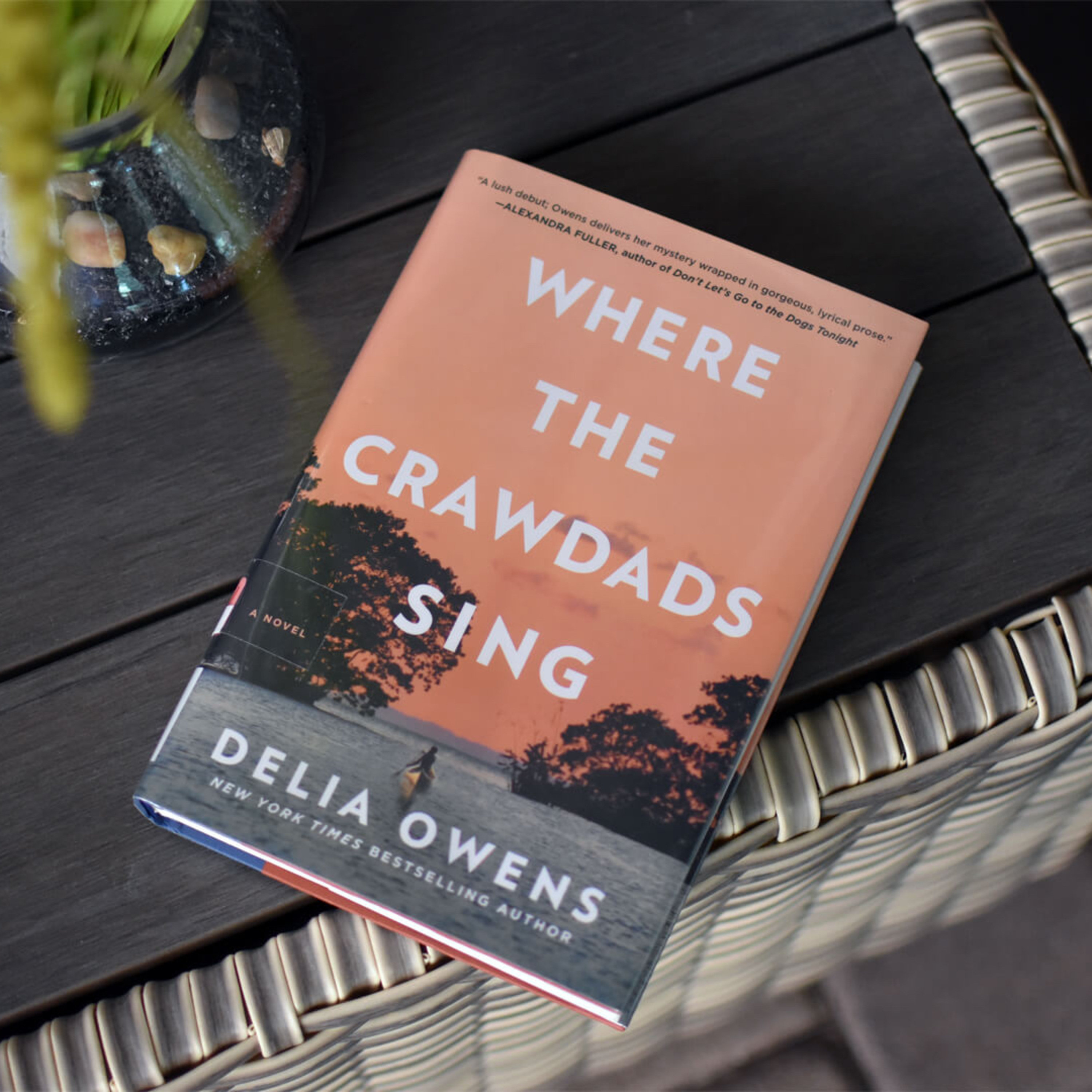 WHERE THE CRAWDADS SING | CHAPTER 7 episode artwork