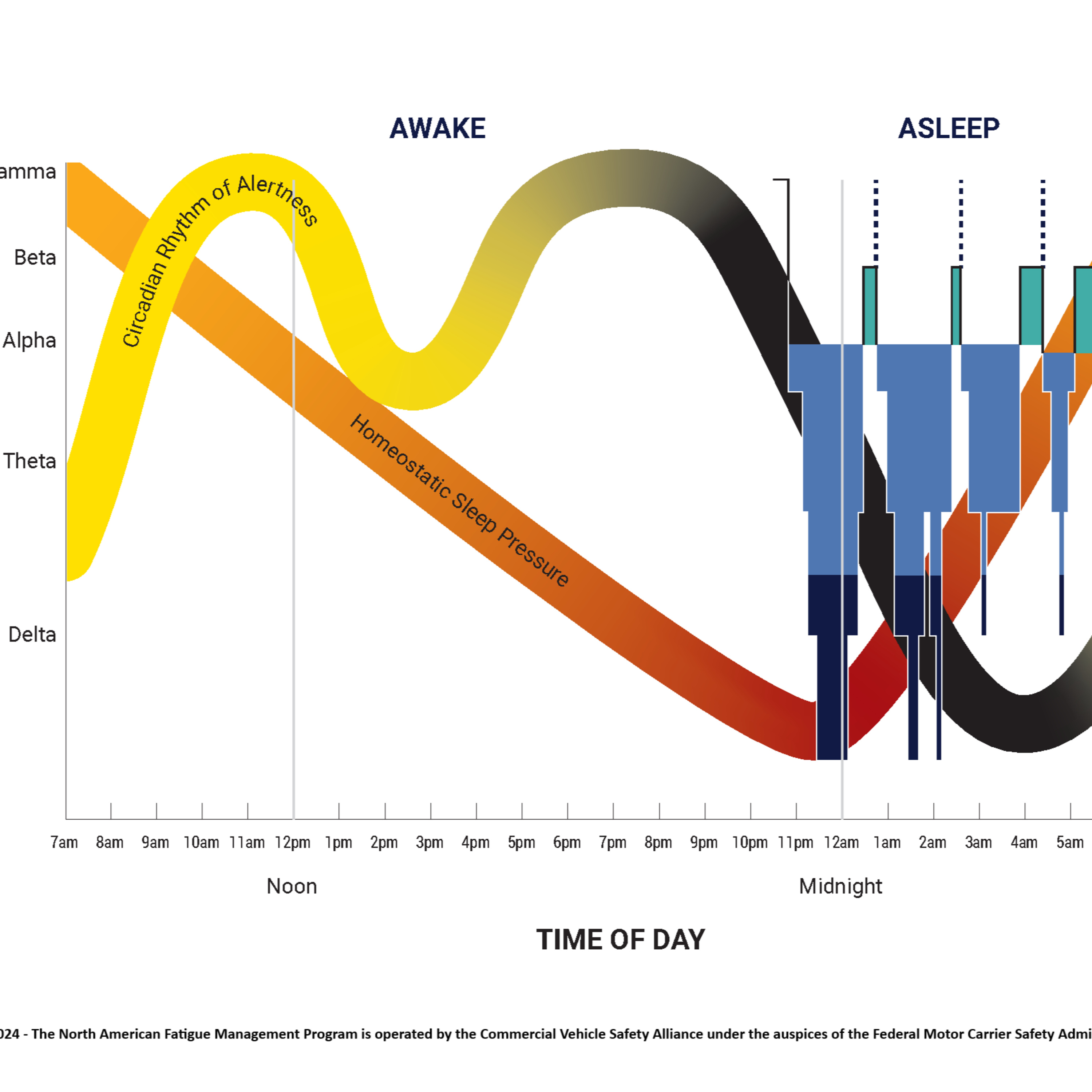 The Scheduling Puzzle: Sleep Science and Driver Fatigue episode artwork