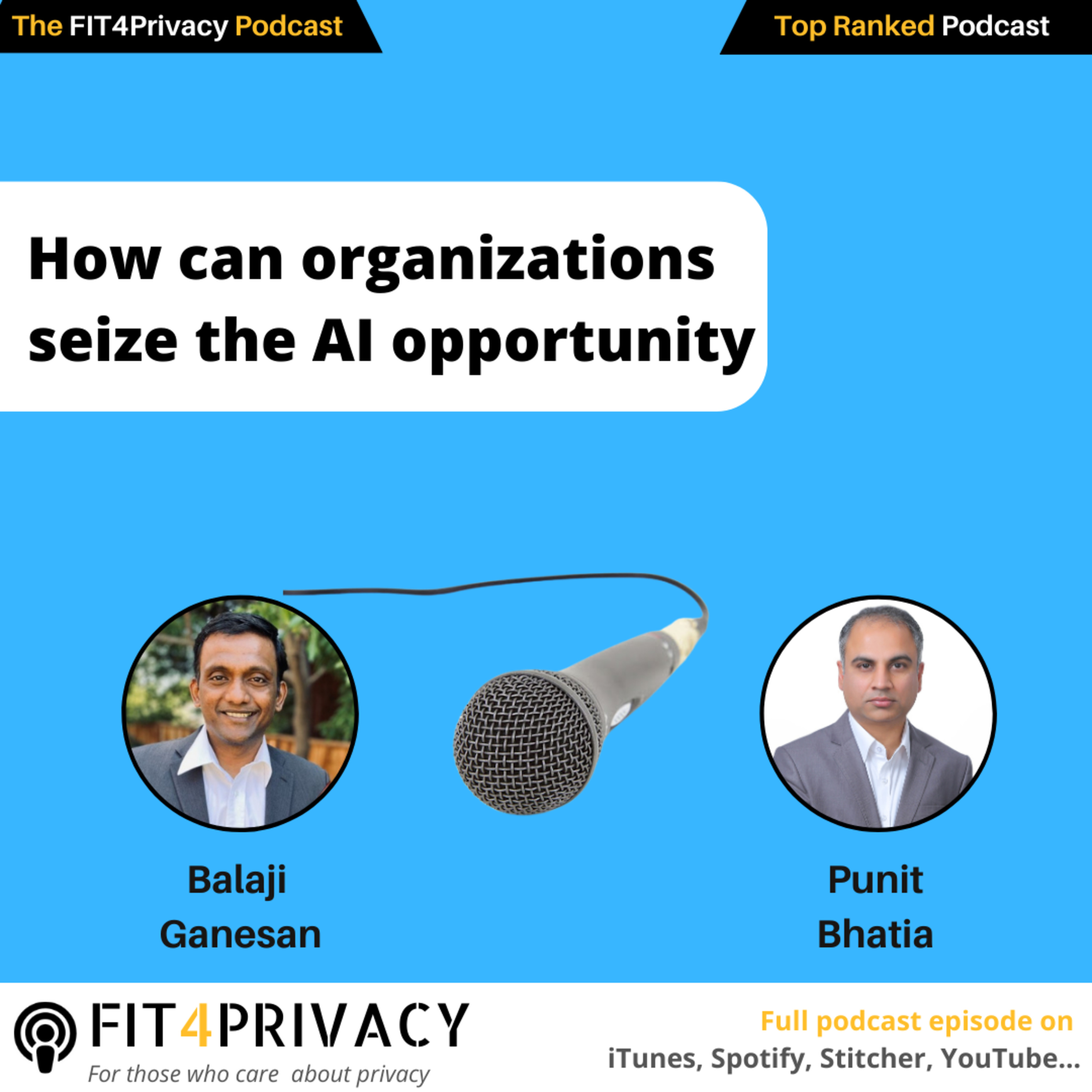 The FIT4Privacy Podcast - AI and Privacy insights to help you grow your skills