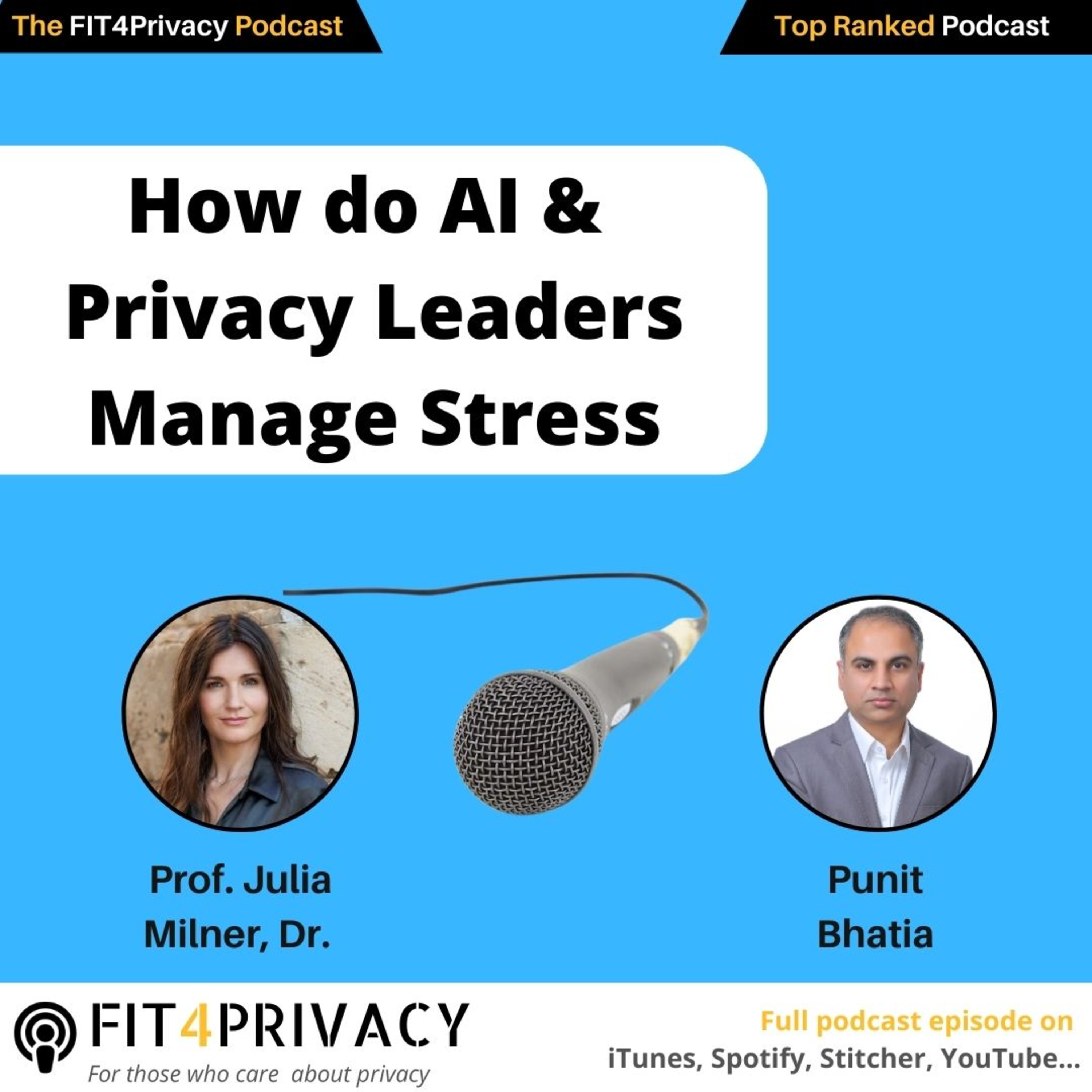 The FIT4Privacy Podcast - AI and Privacy insights to help you grow your skills