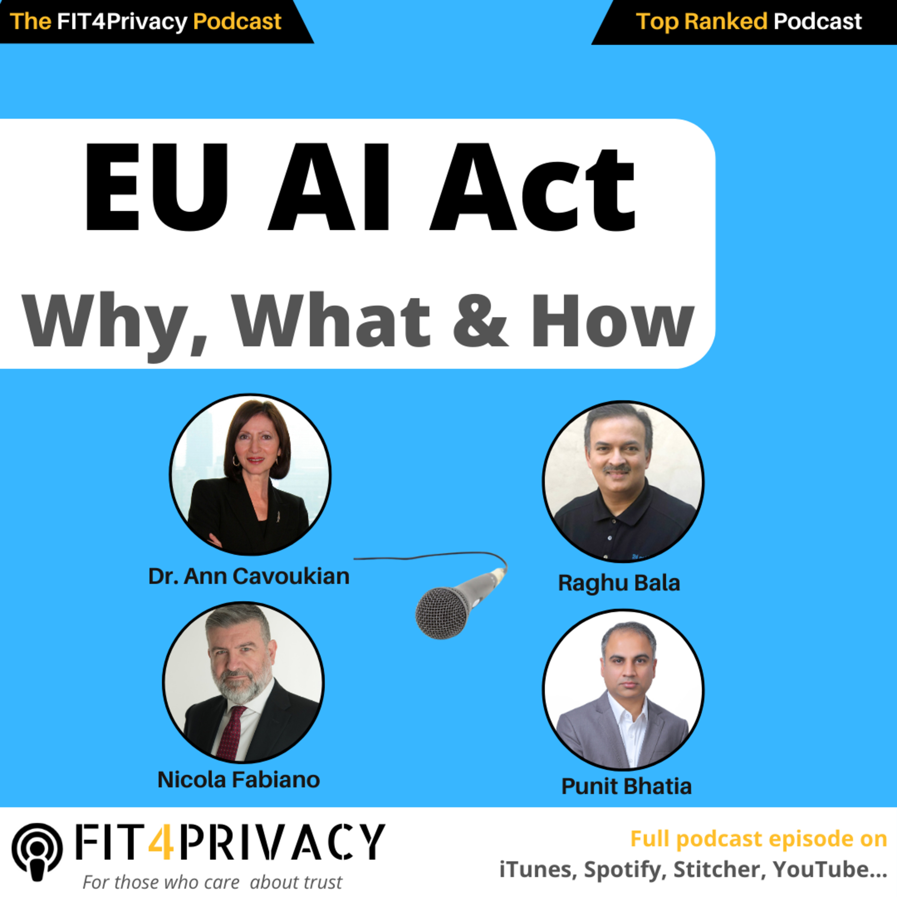 The FIT4Privacy Podcast - AI and Privacy insights to help you grow your skills