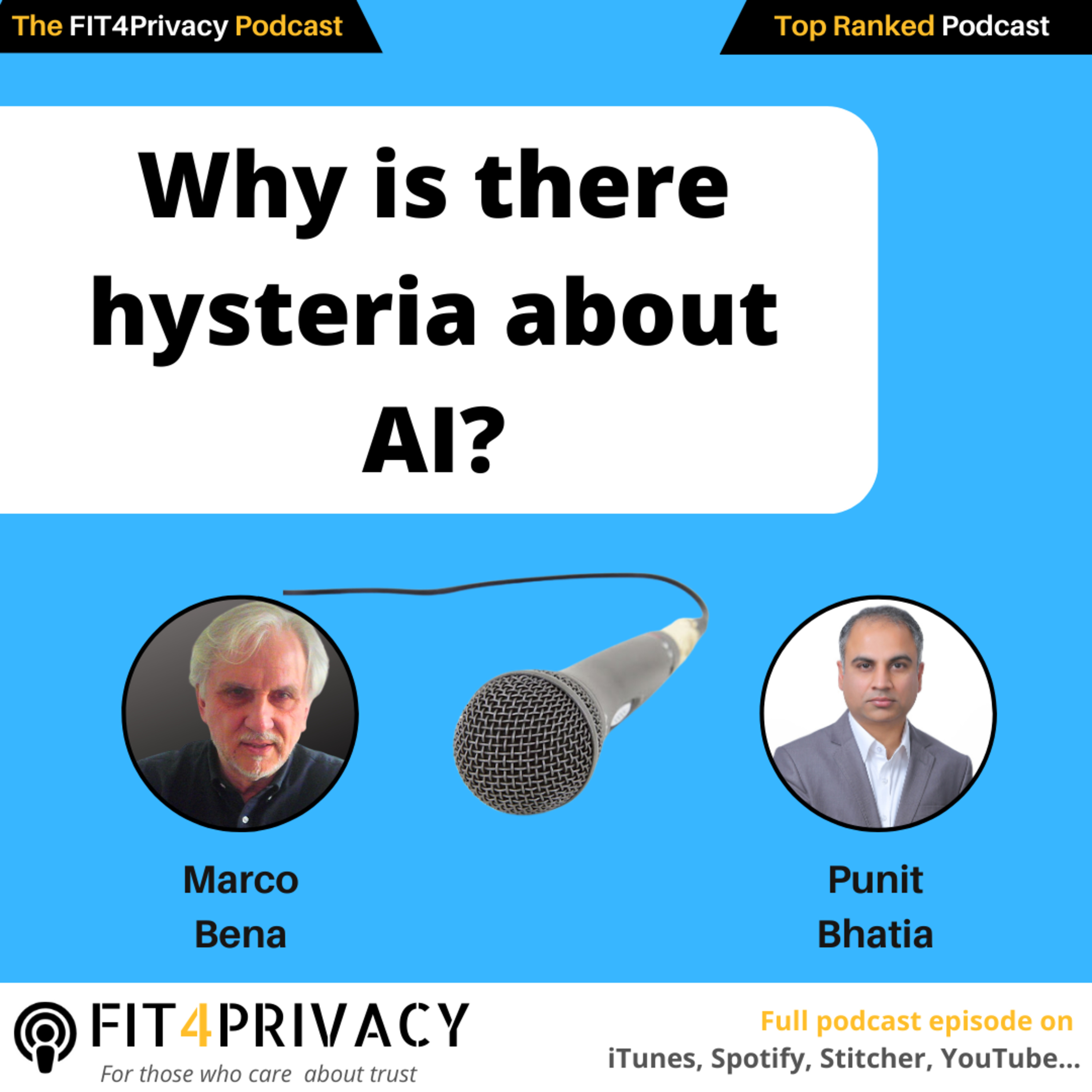 The FIT4Privacy Podcast - AI and Privacy insights to help you grow your skills