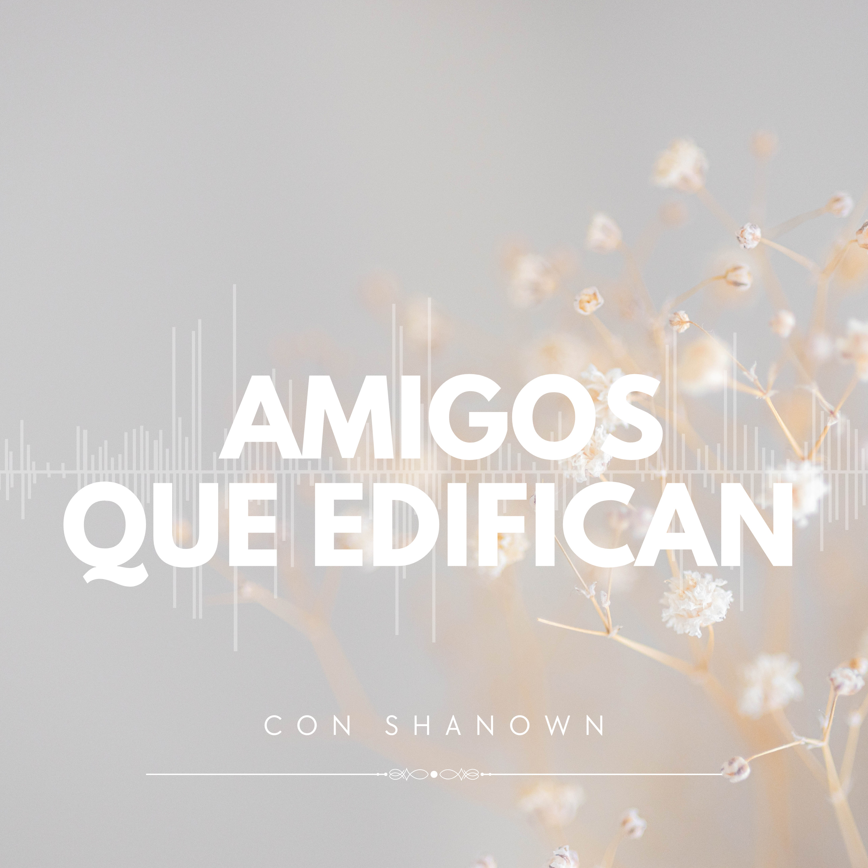 Amigos que edifican episode artwork