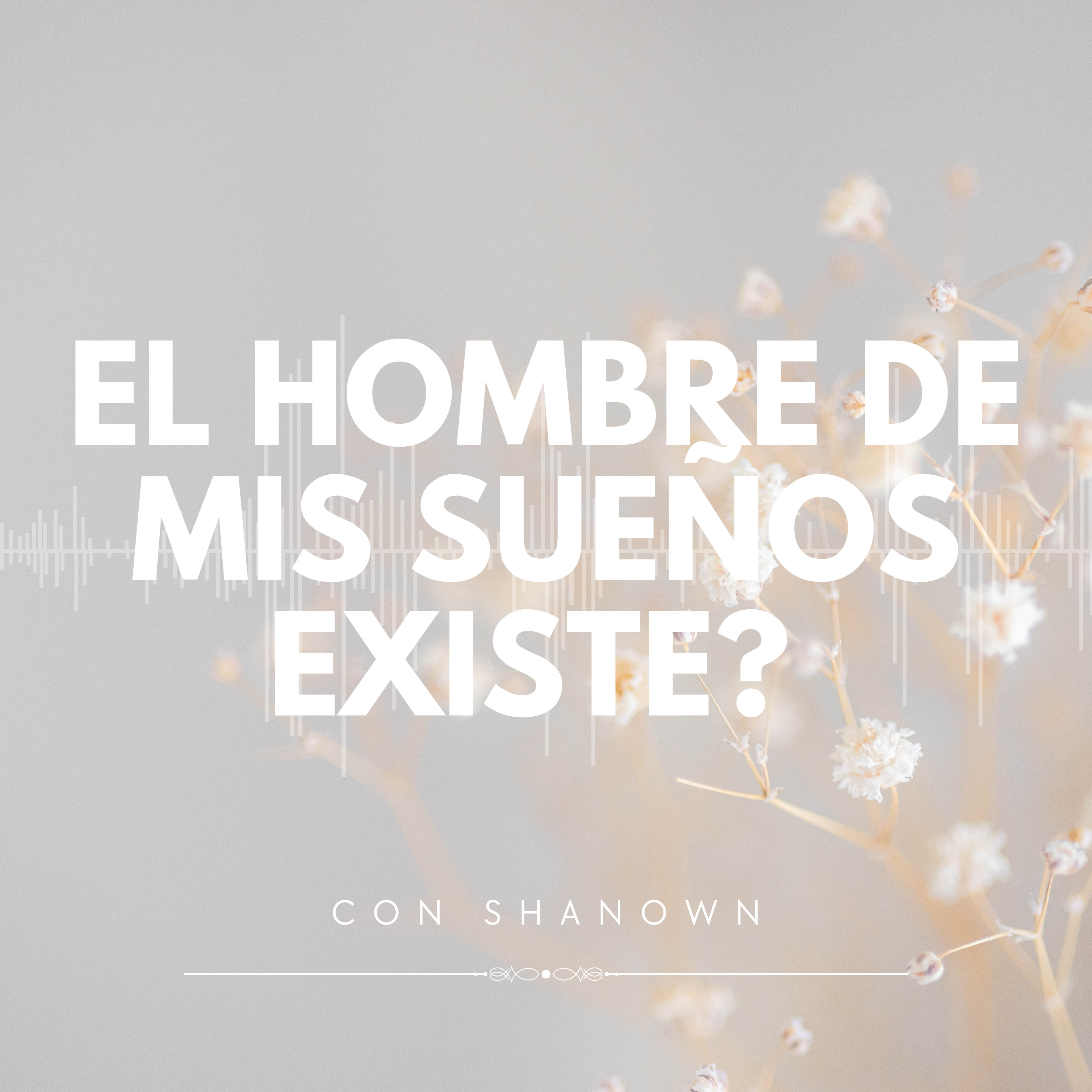 El hombre de mis sueños, existe? episode artwork