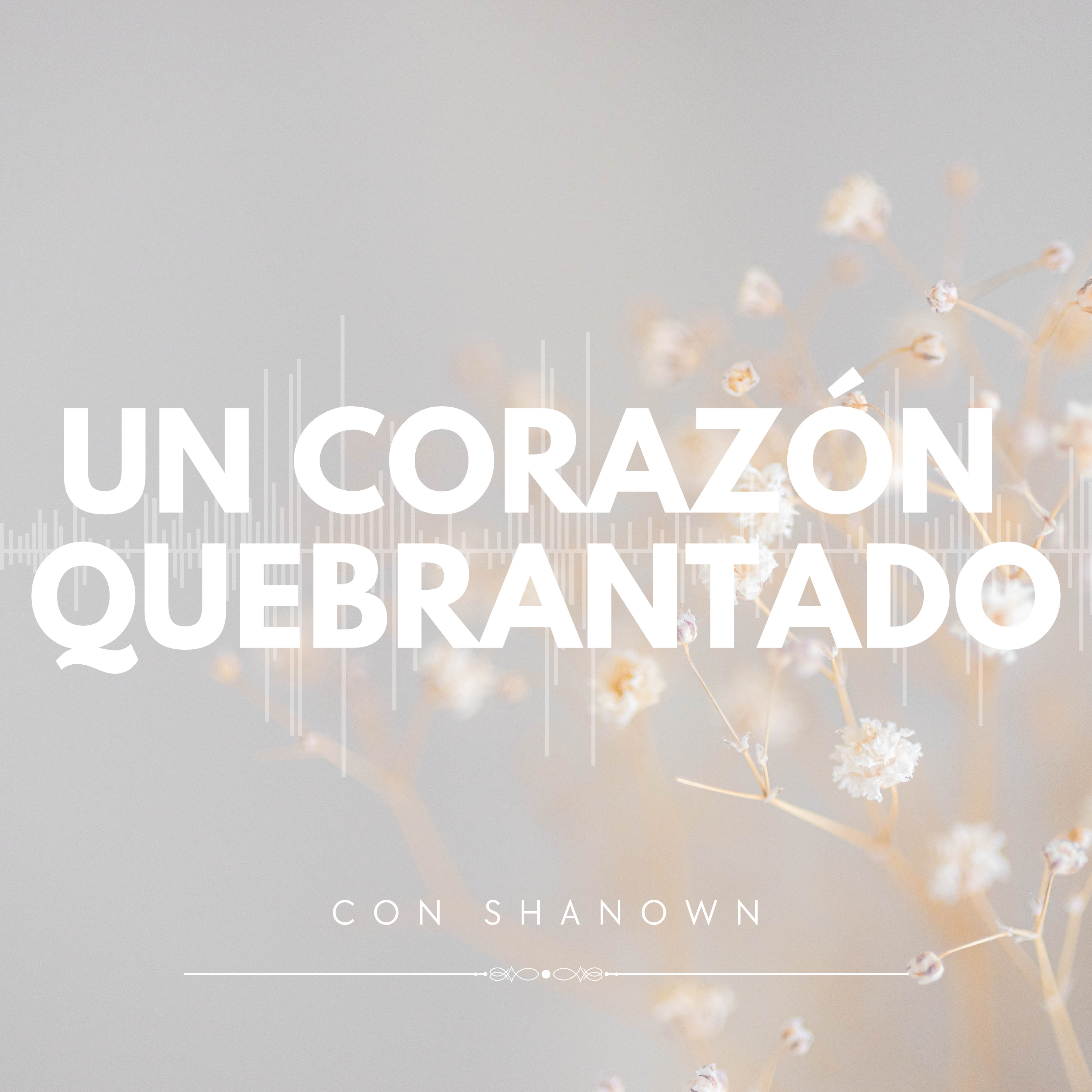 Un corazón quebrantado  episode artwork