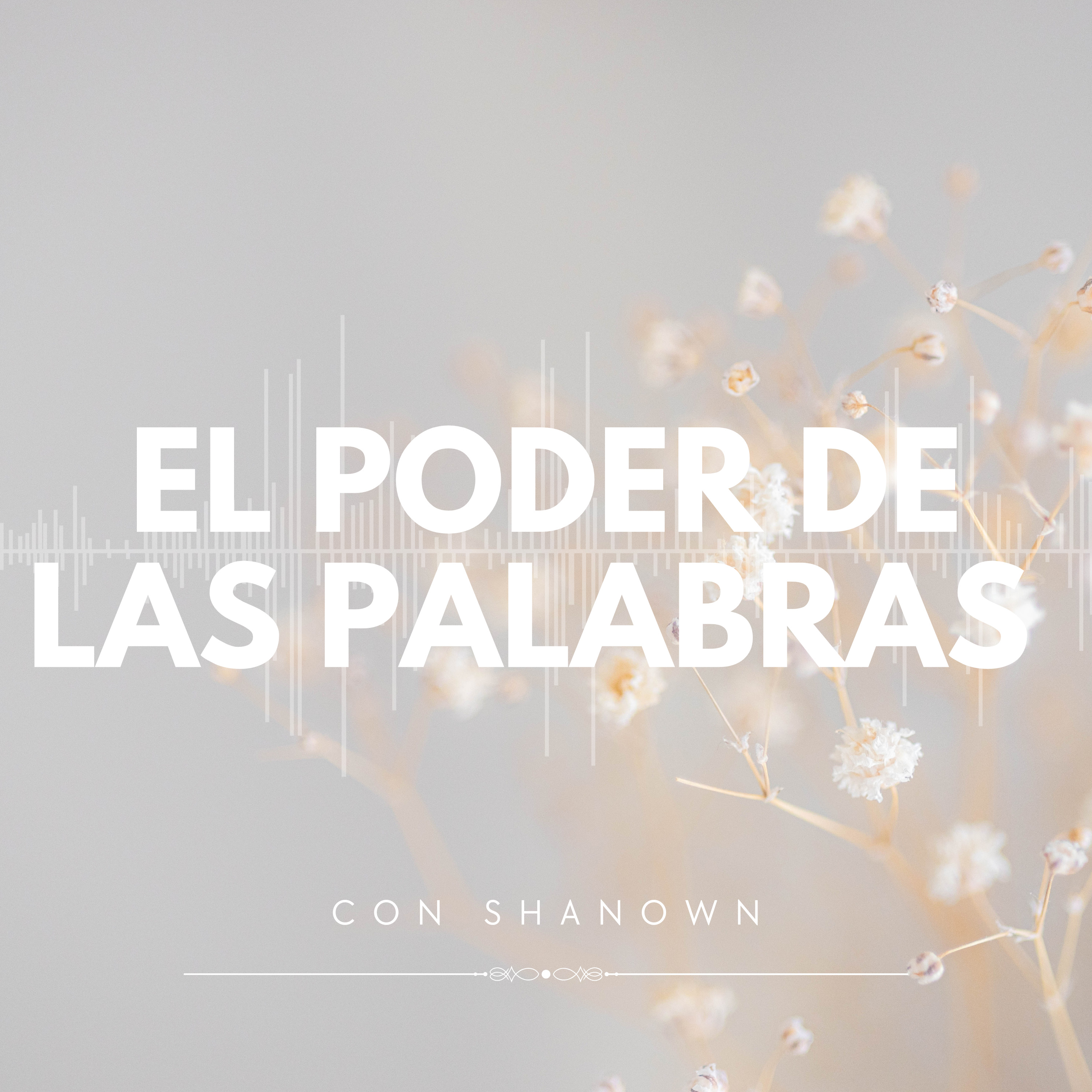 El poder de las palabras  episode artwork