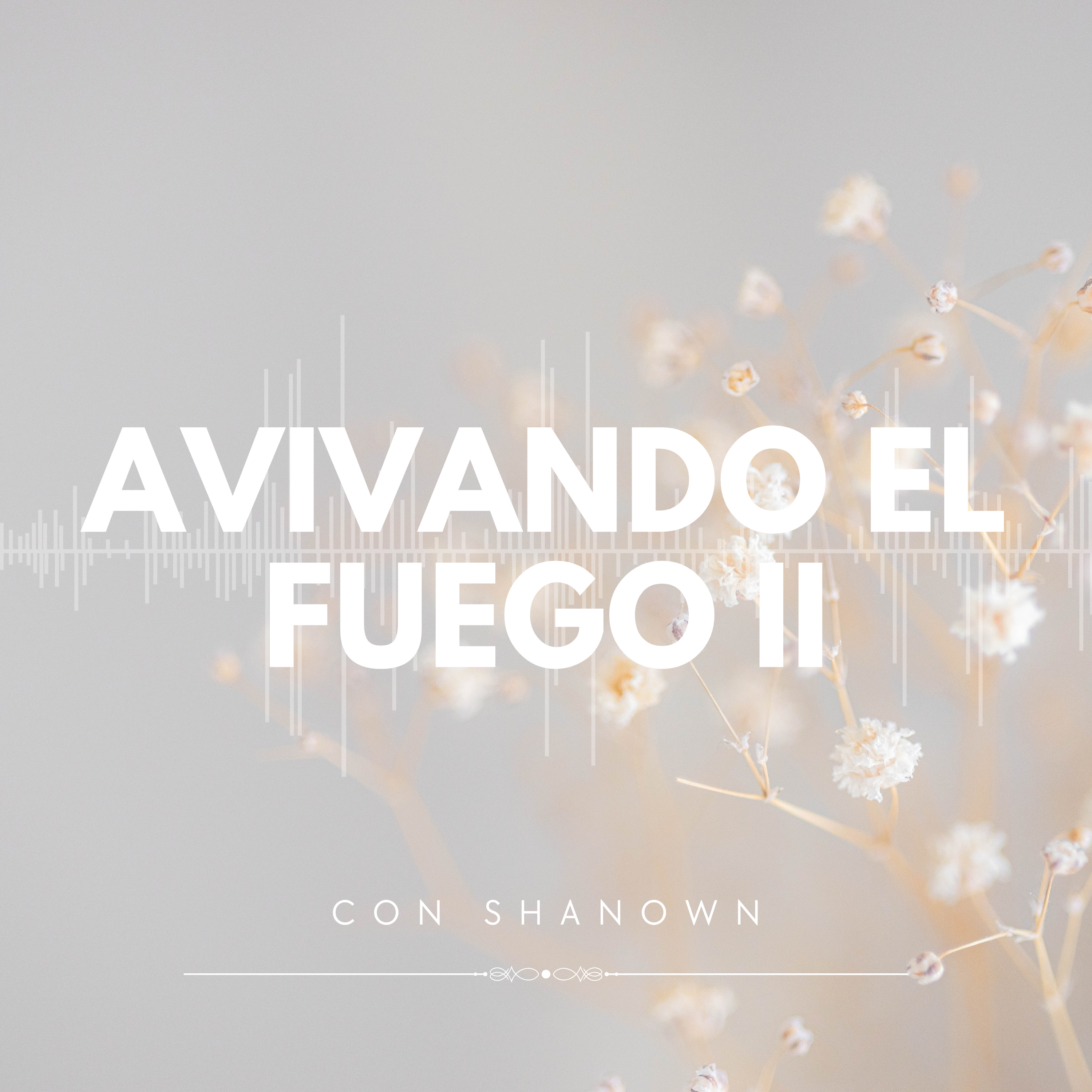 Avivando el Fuego II episode artwork