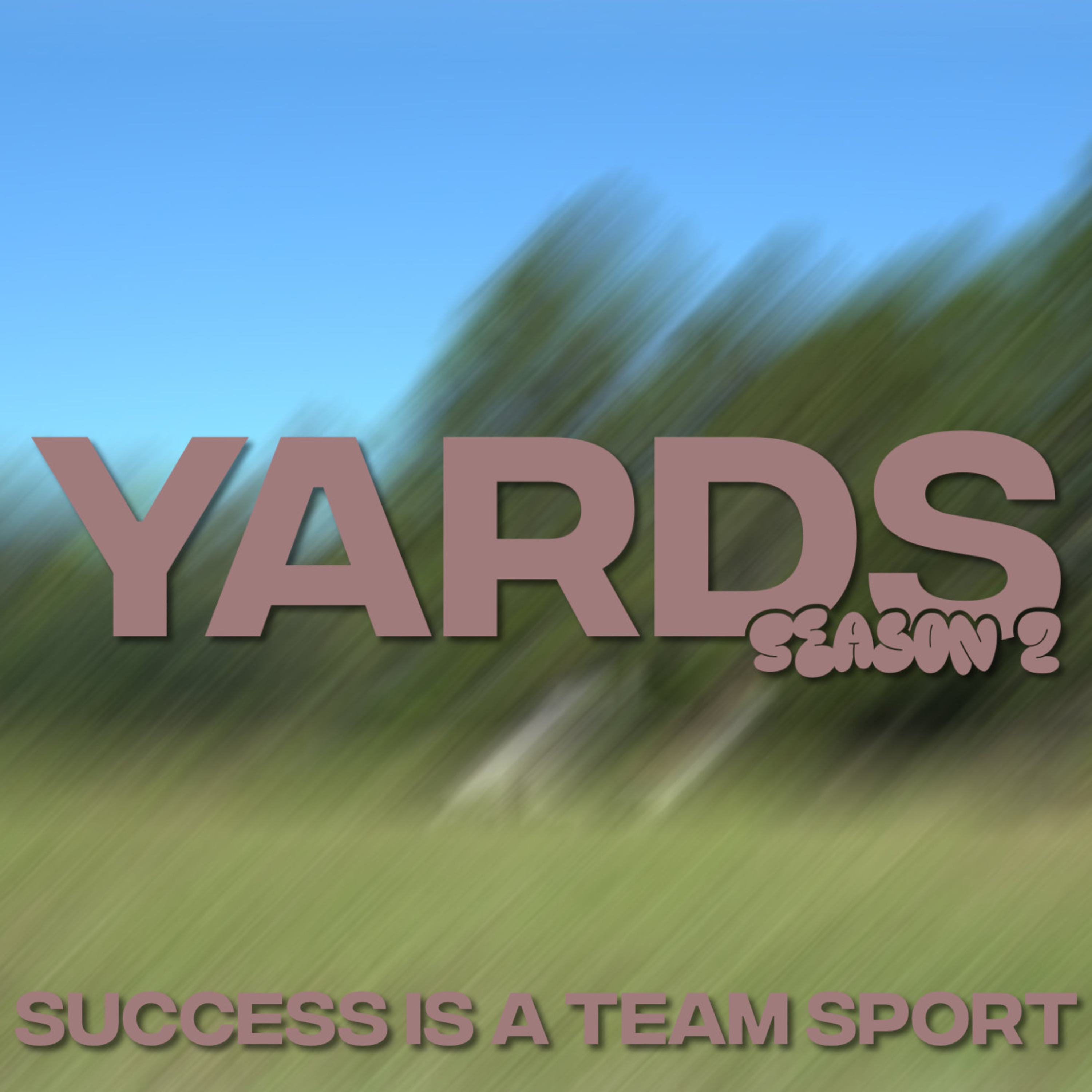 Success is a Team Sport episode artwork