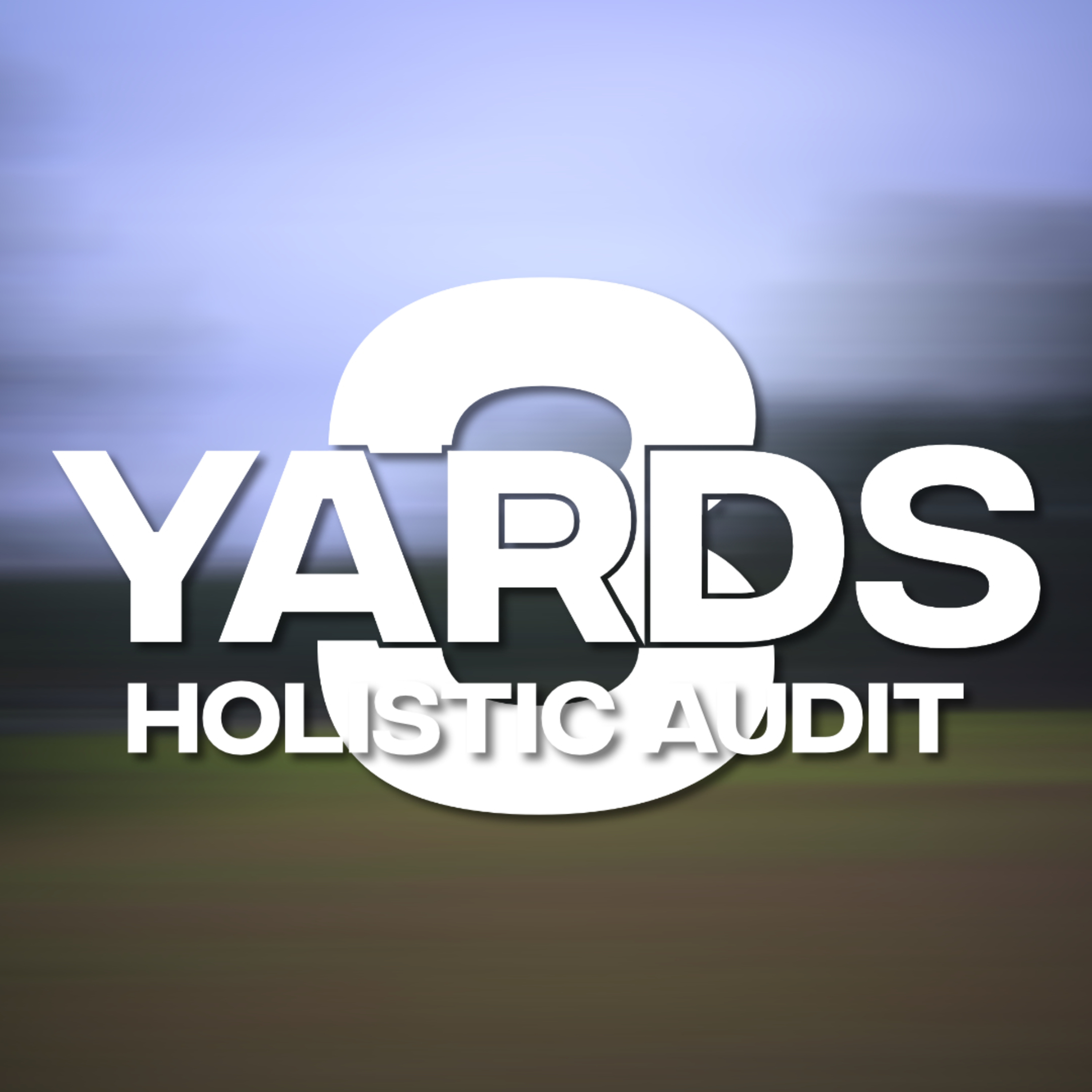 Holistic Audit episode artwork