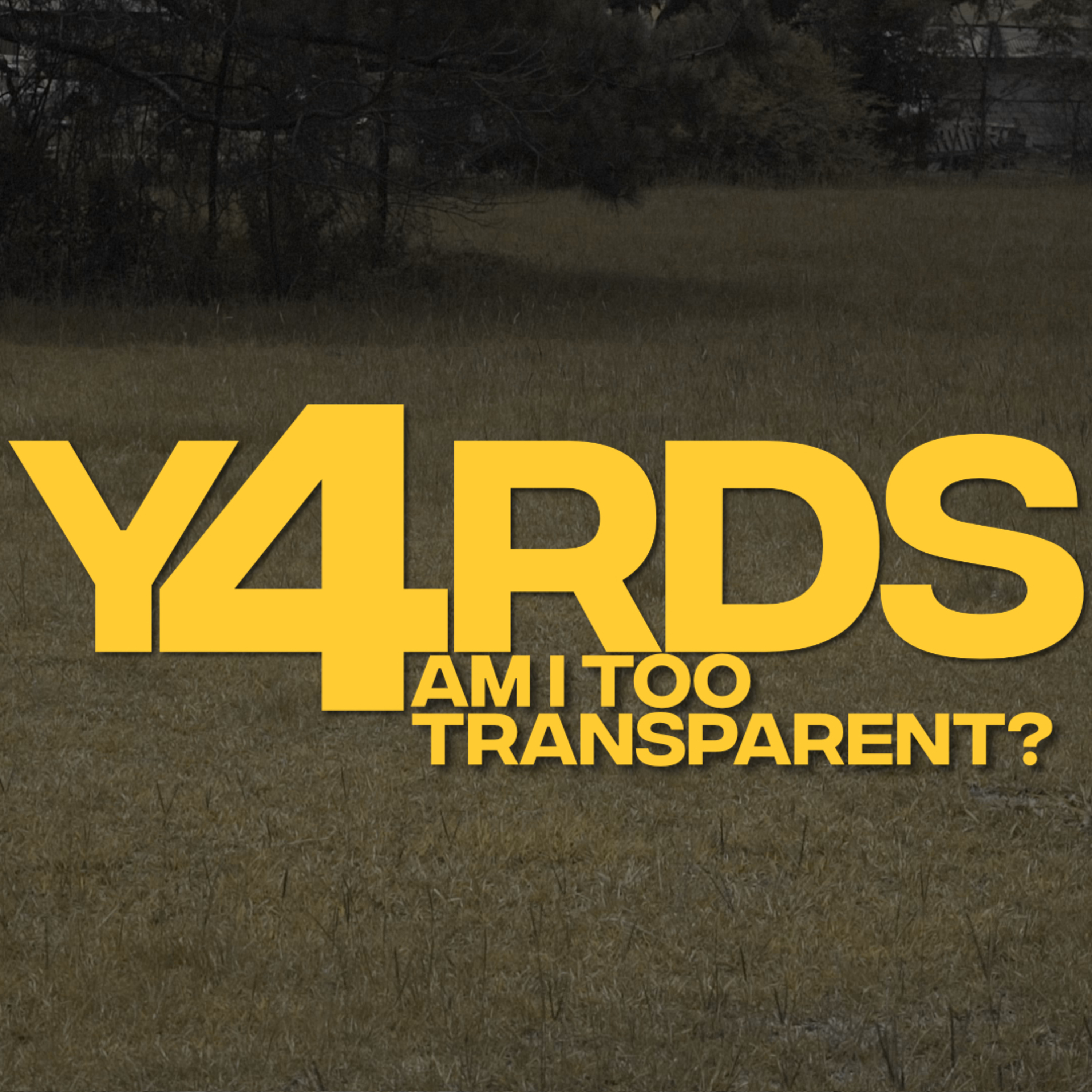 Am I Too Transparent episode artwork