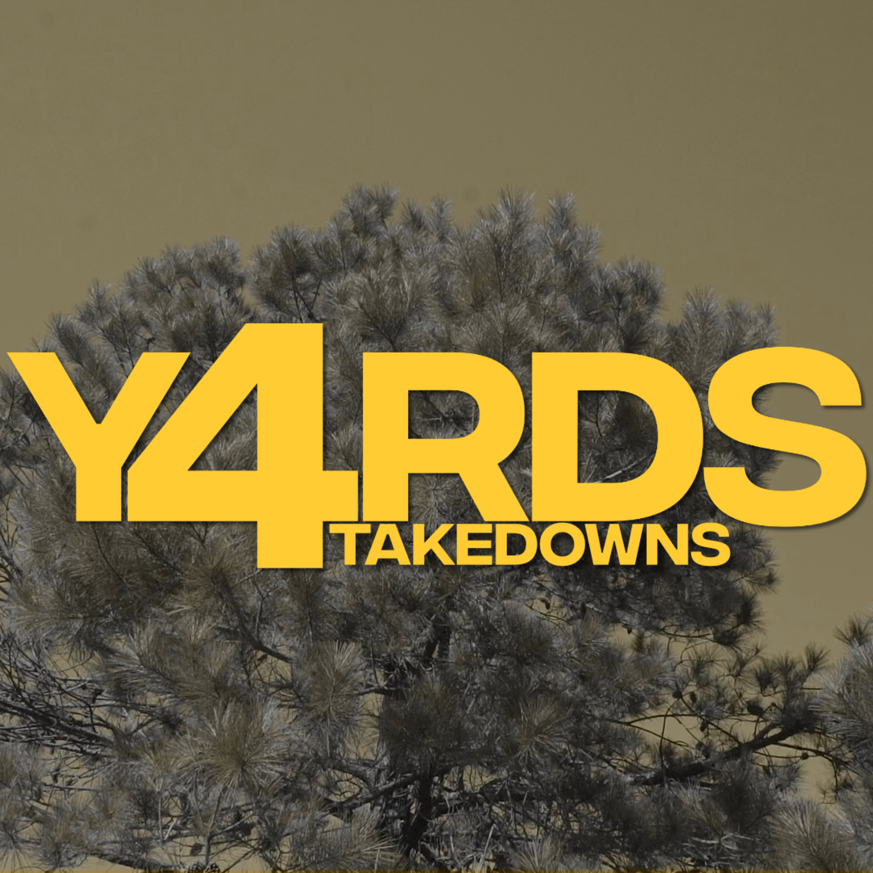 Takedowns episode artwork