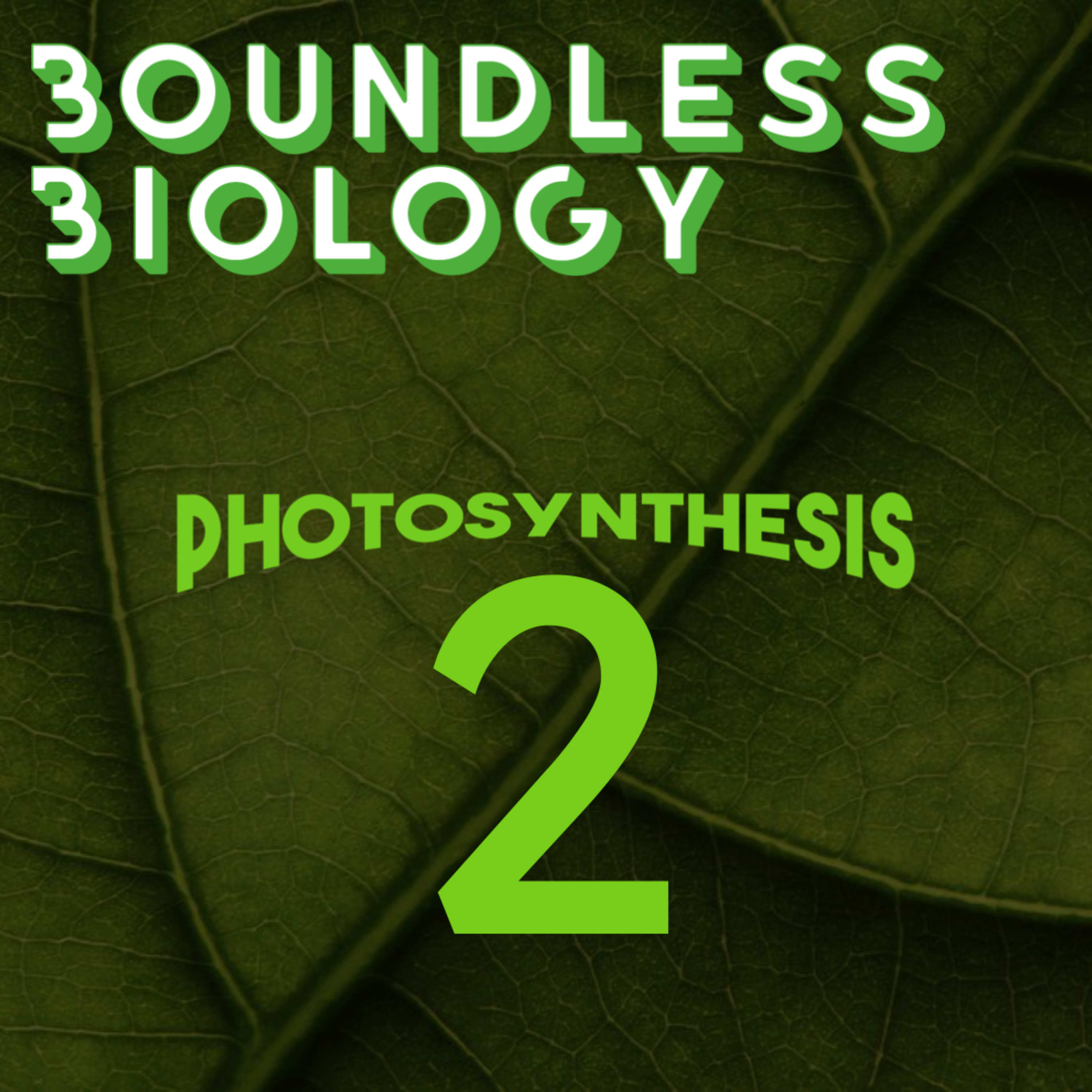 3.2 - Light Dependent Reactions episode artwork