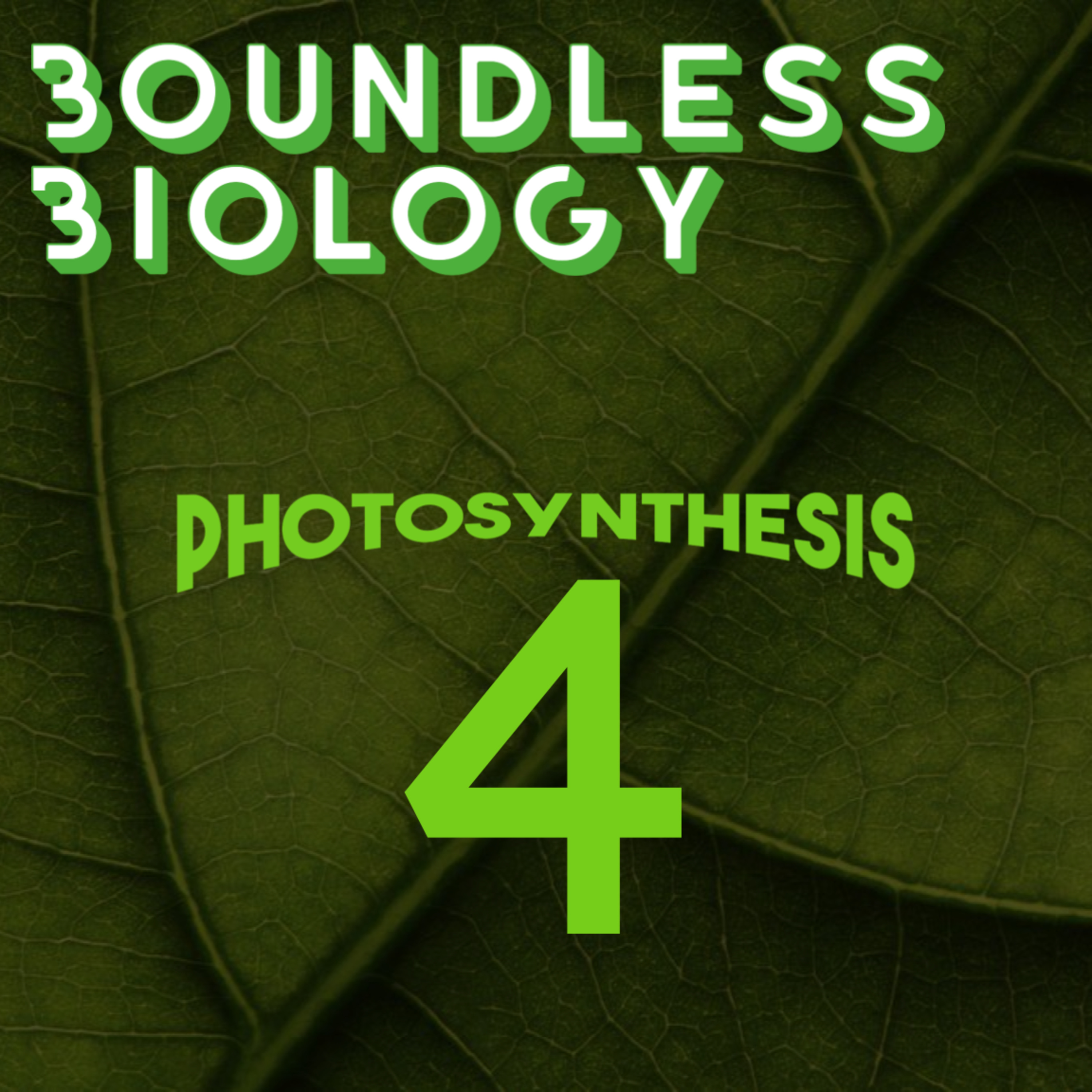 3.4 - CAM and C4 plants episode artwork