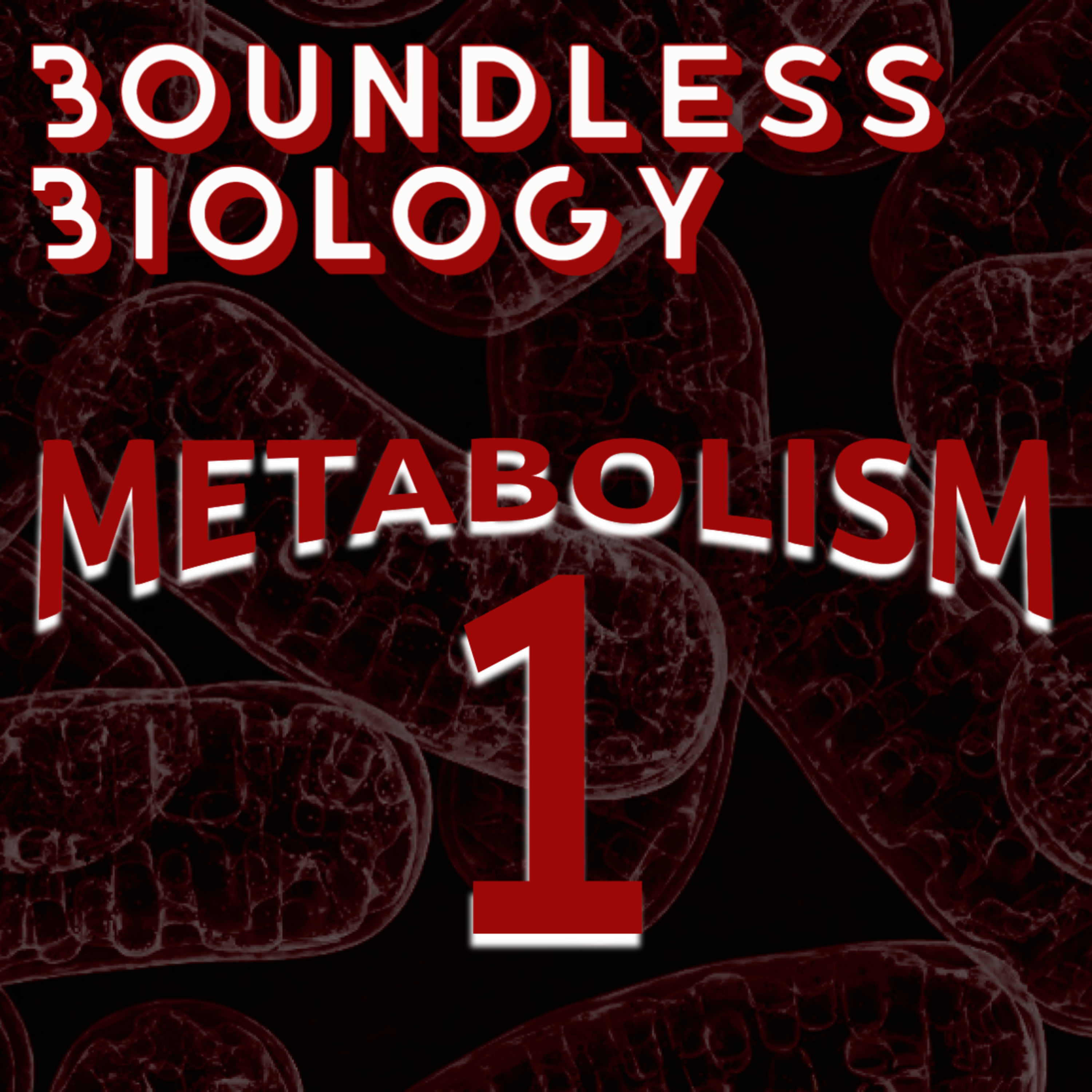 2.1 - Metabolism episode artwork
