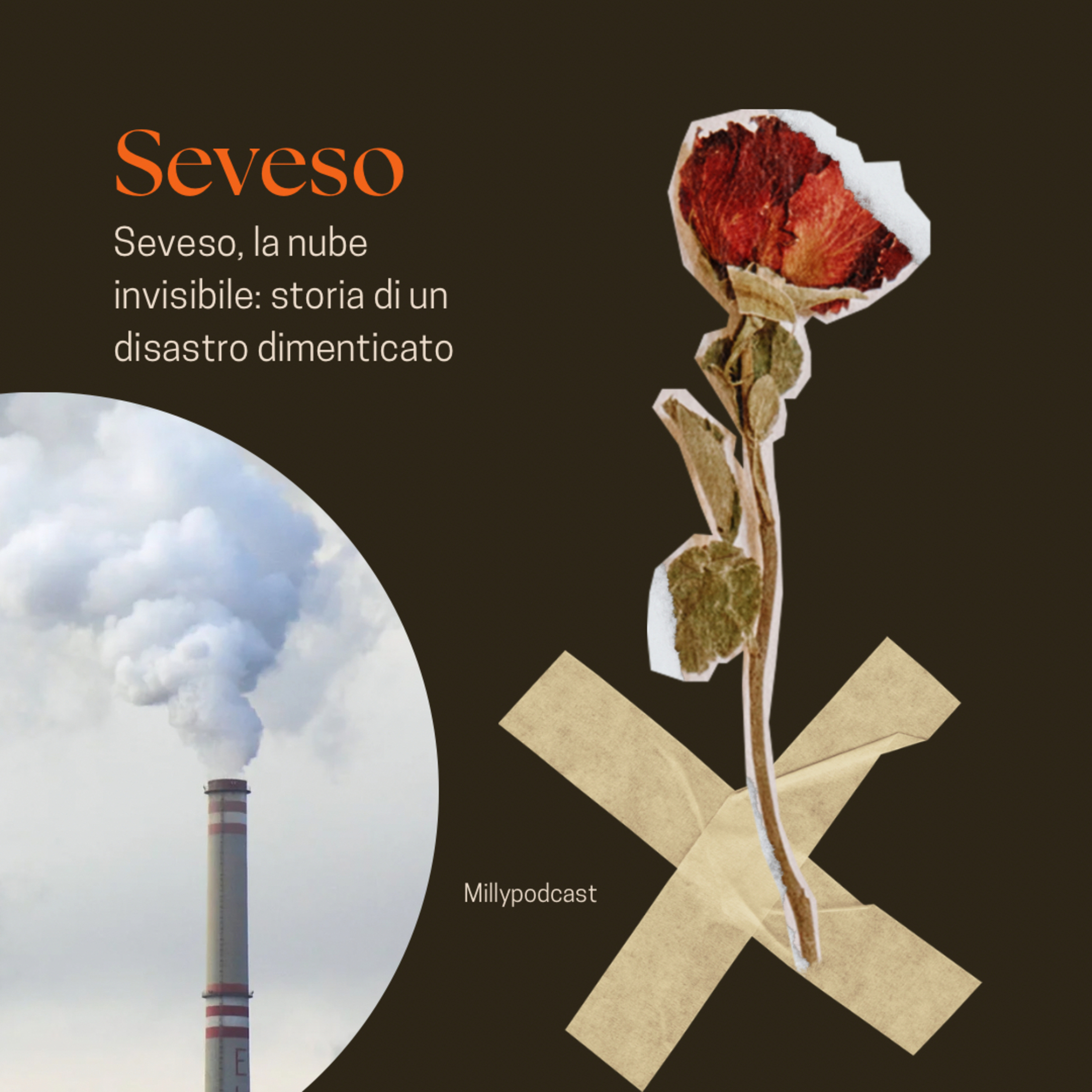 Seveso, la nube invisibile: storia di un disastro dimenticato
