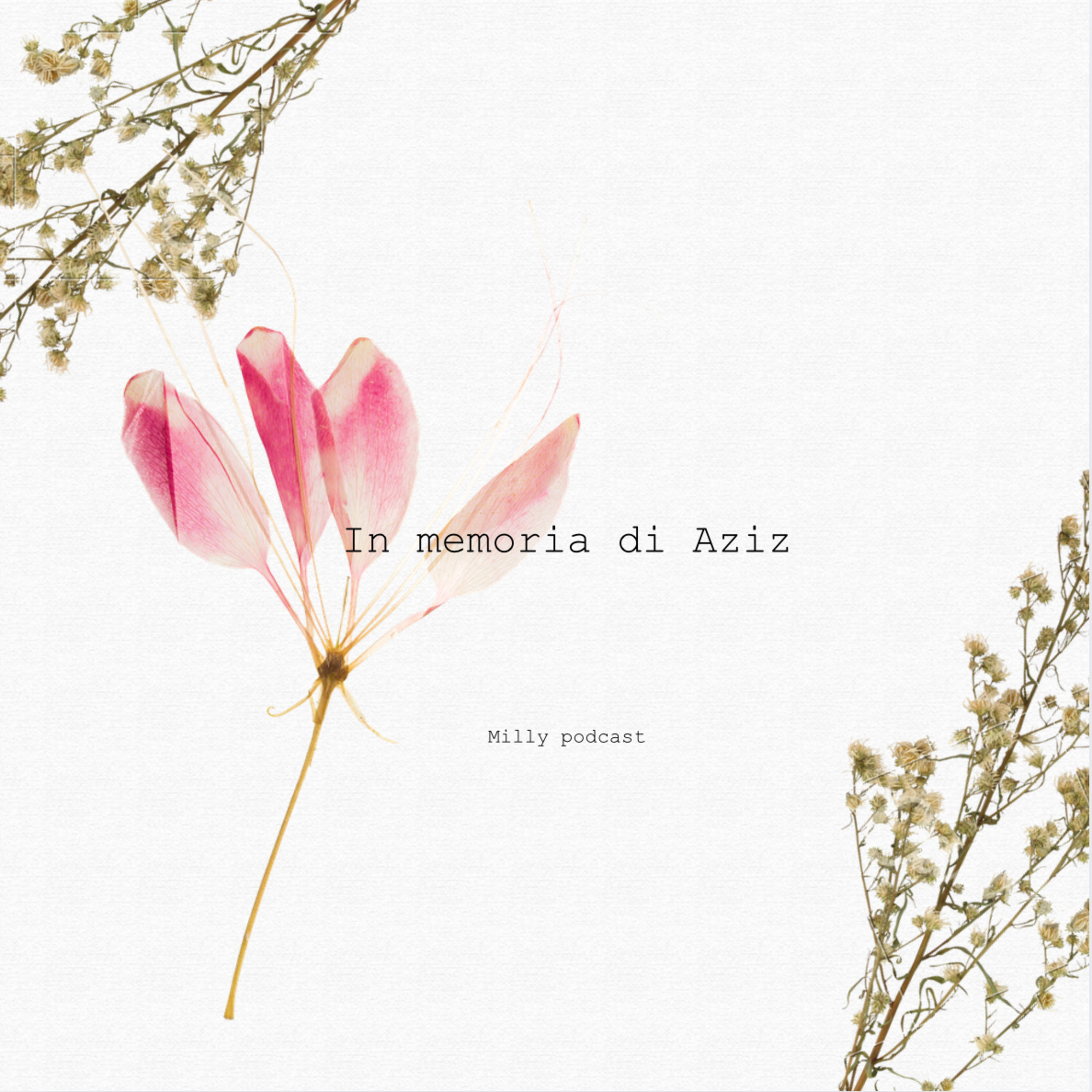 In memoria di Aziz 🥀