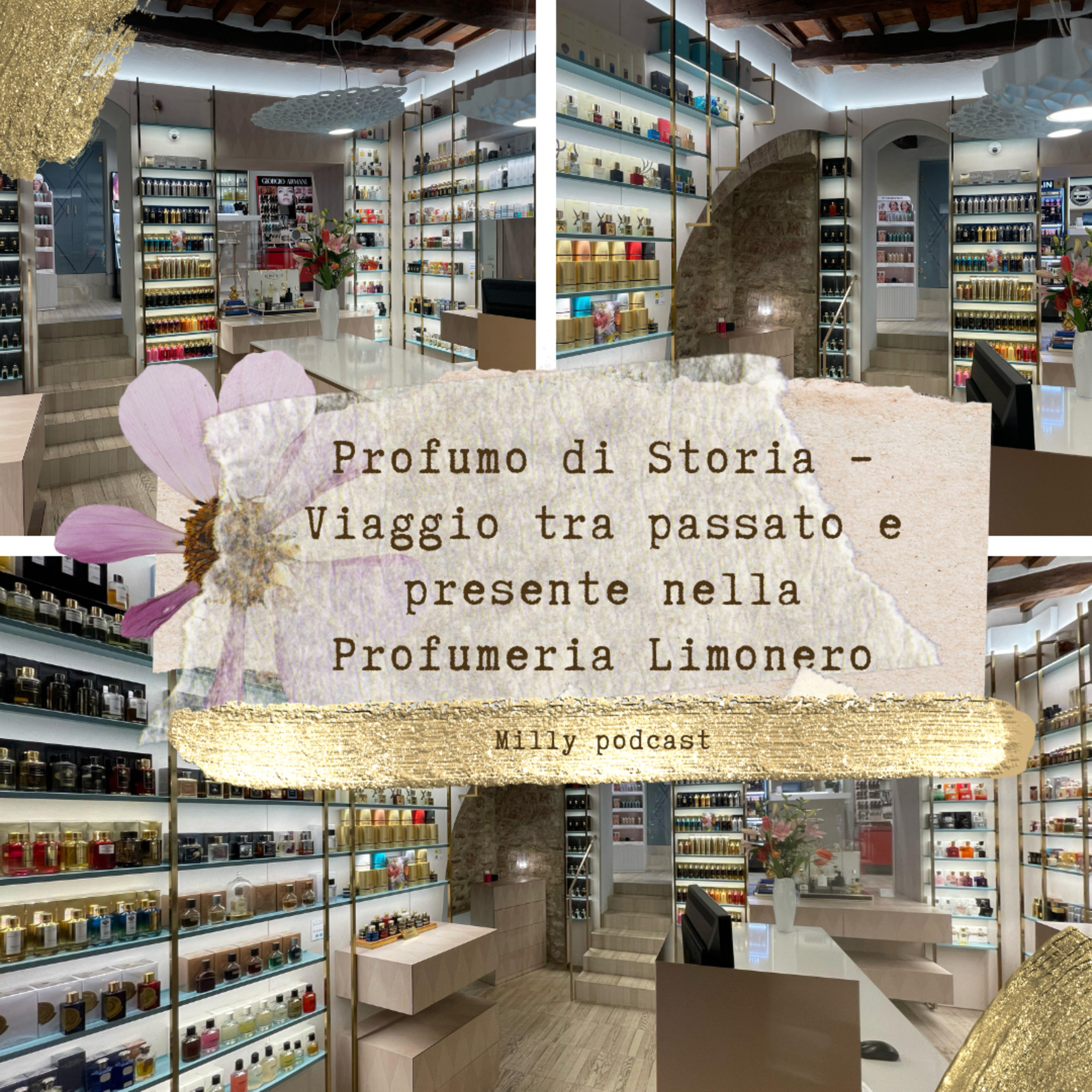 Profumo di Storia – Viaggio tra passato e presente nella Profumeria Limonero di Gubbio🌷