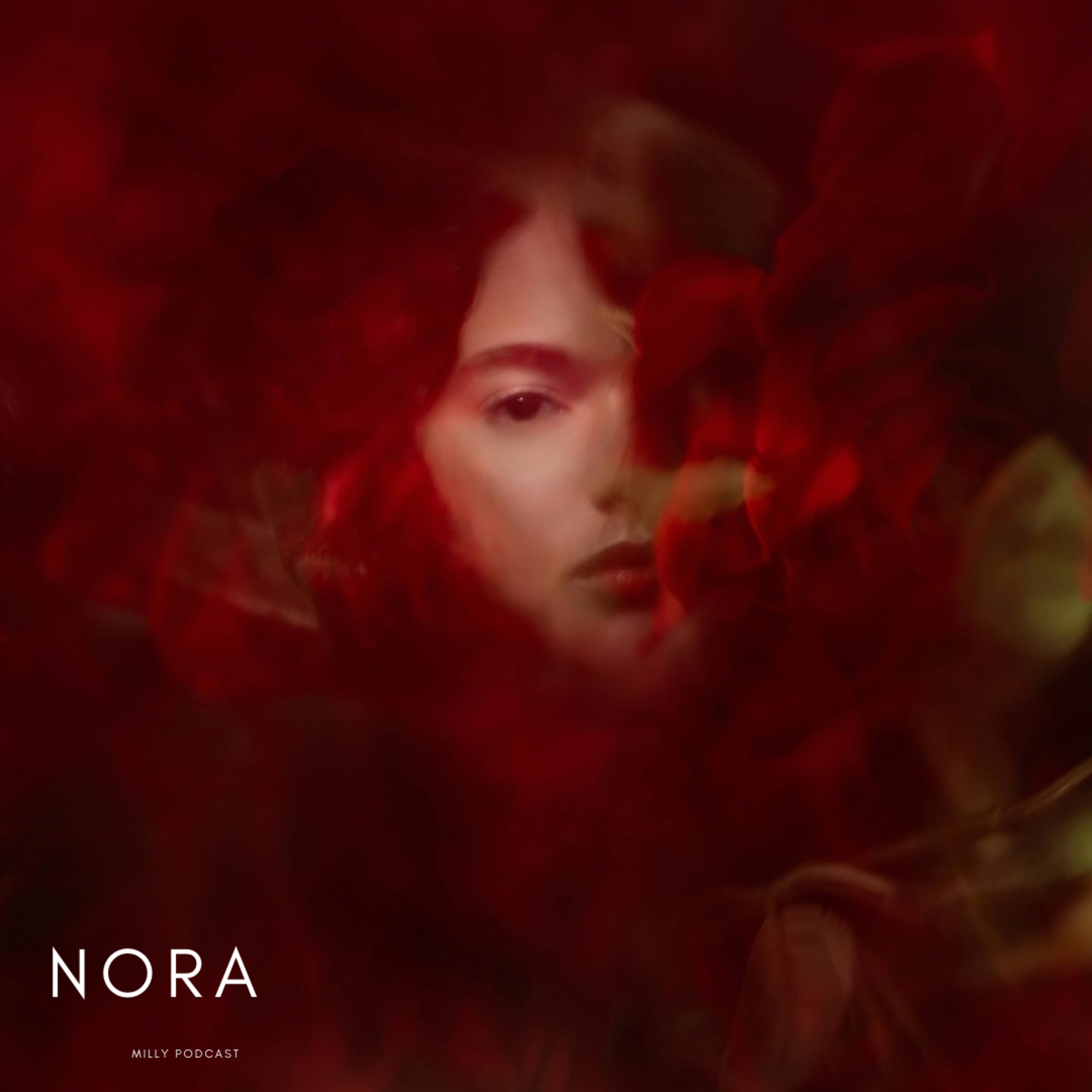 Nora - Episodio introduttivo