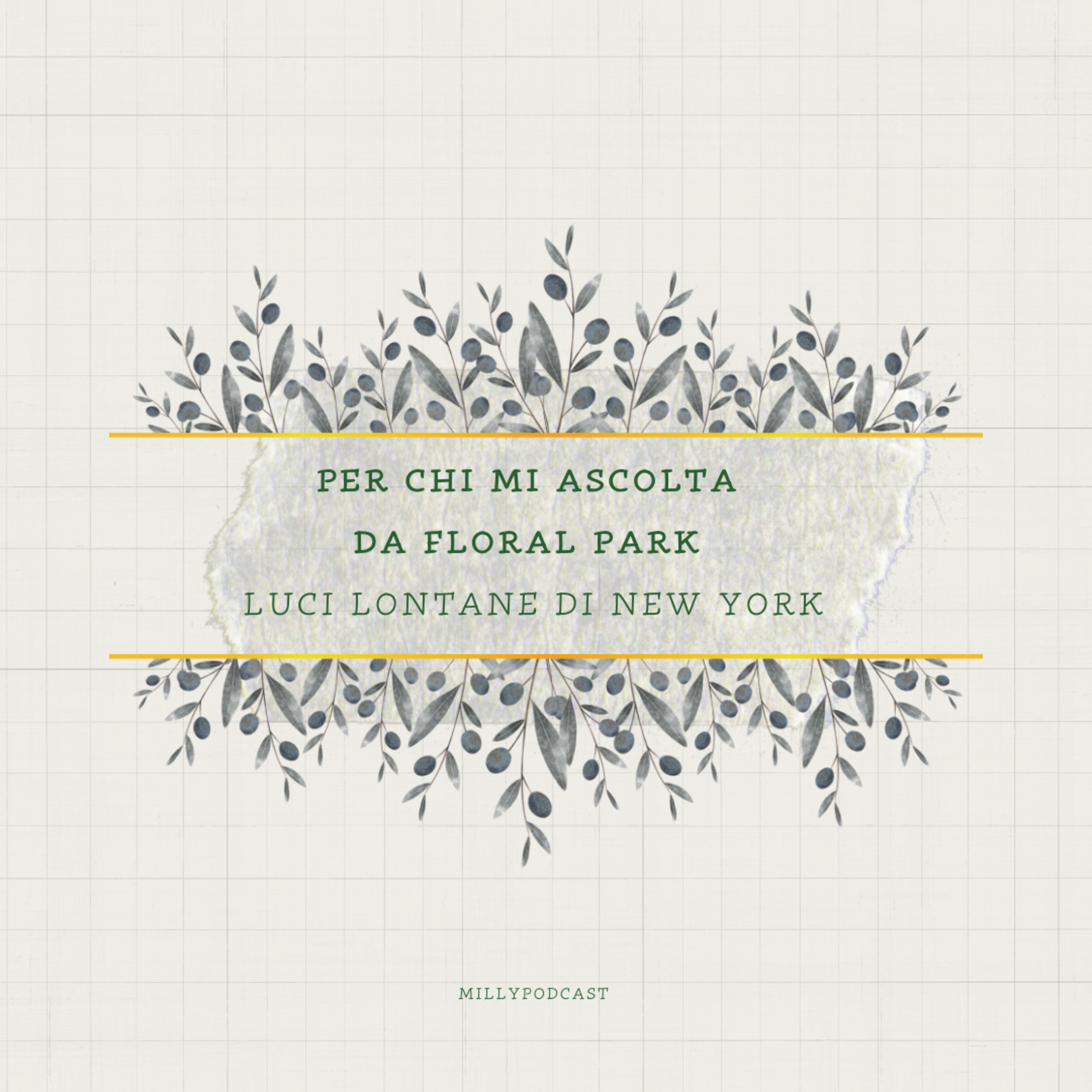 Per chi mi ascolta da Floral Park • Luci lontane di New York