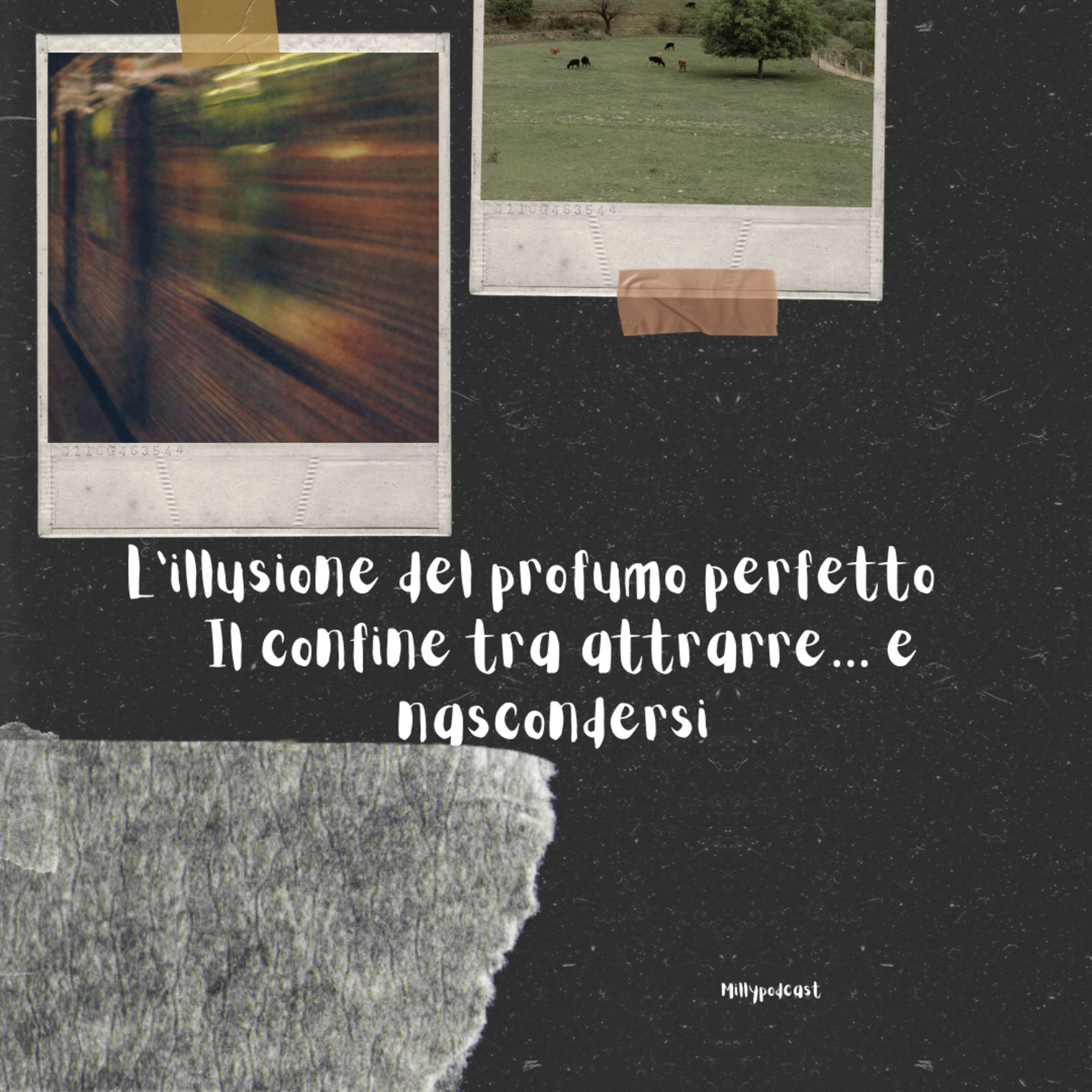 L’illusione del profumo perfetto – Il confine tra attrarre… e nascondersi