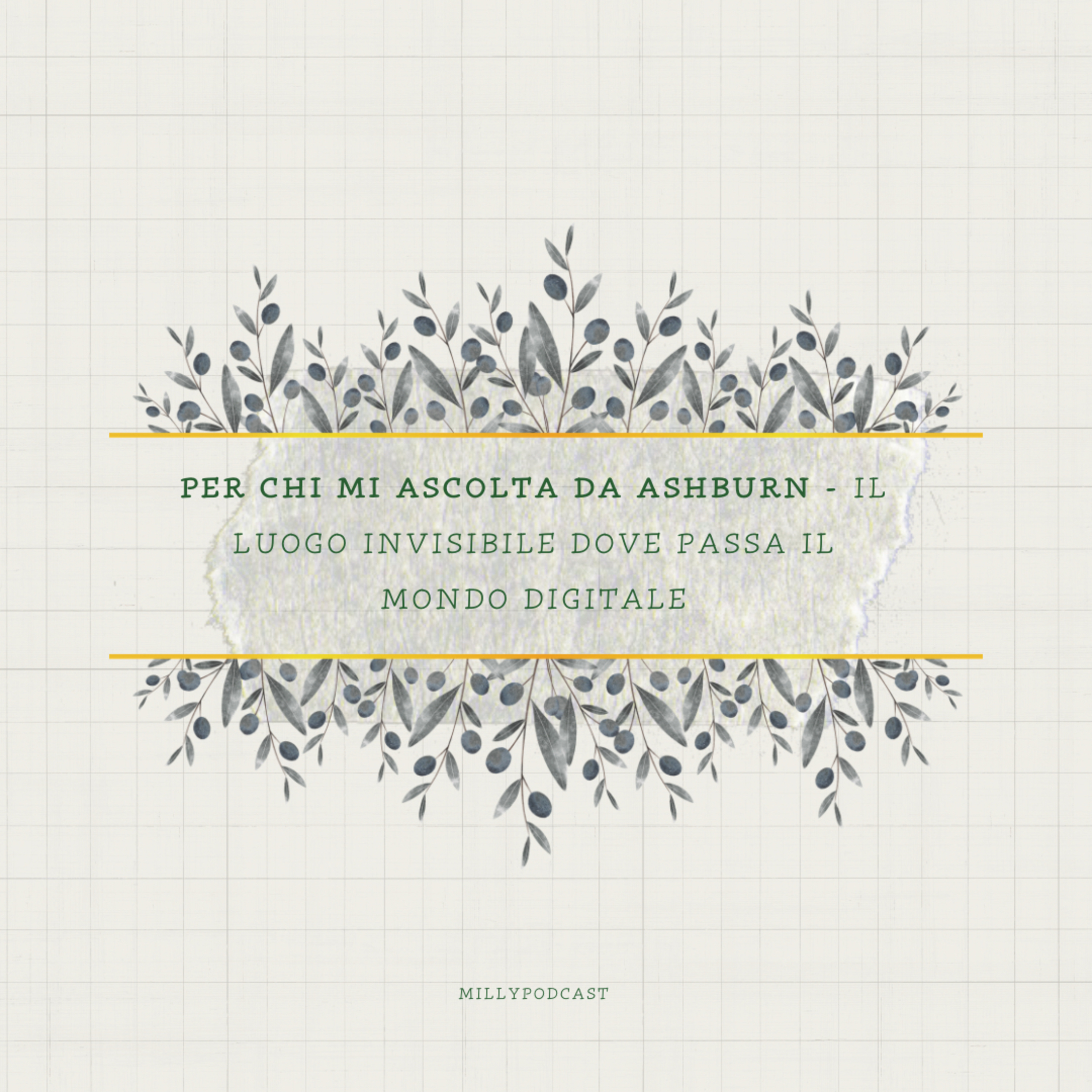 Per chi mi ascolta da Ashburn - il luogo invisibile dove passa il mondo digitale episode artwork