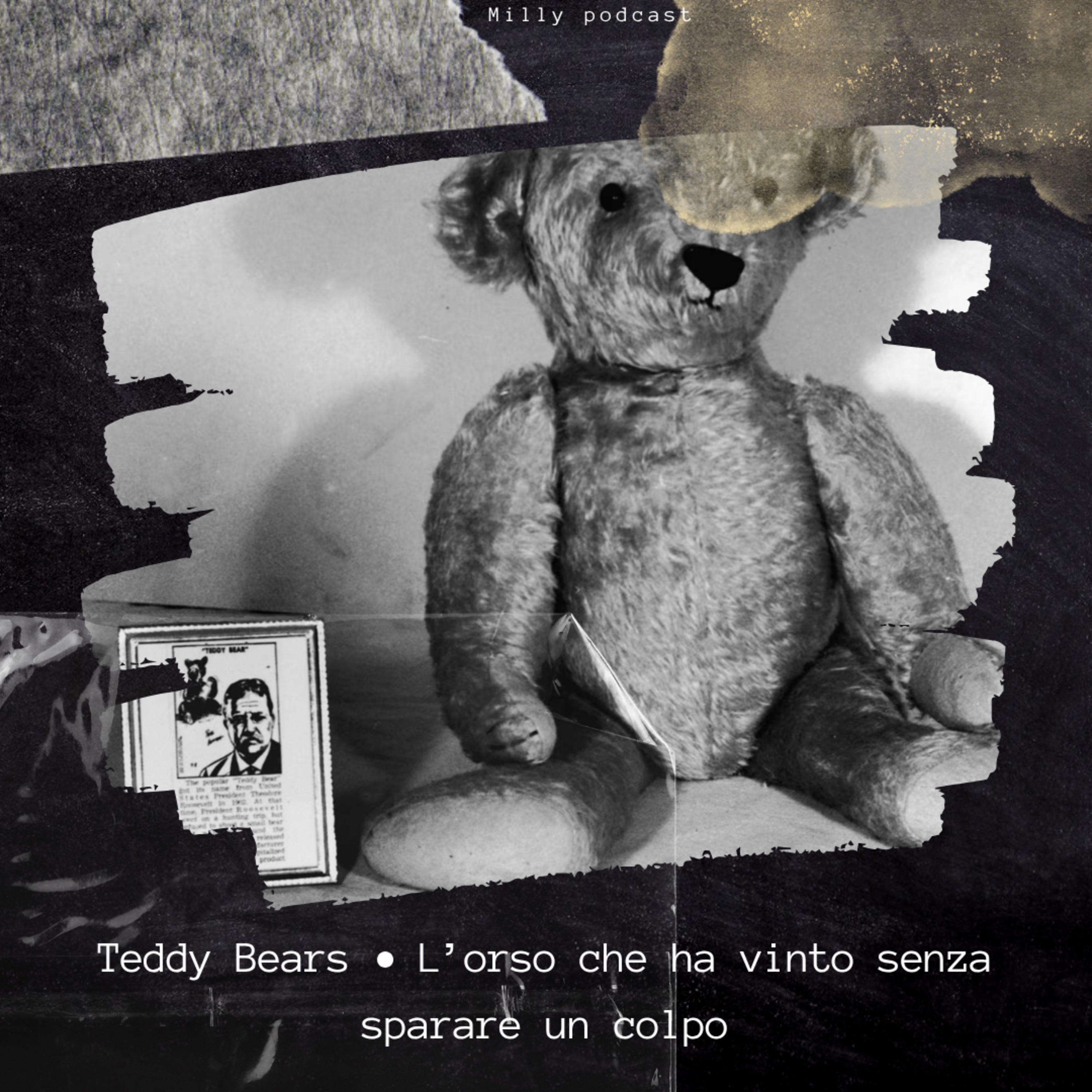 Teddy Bears • L’orso che ha vinto senza sparare un colpo