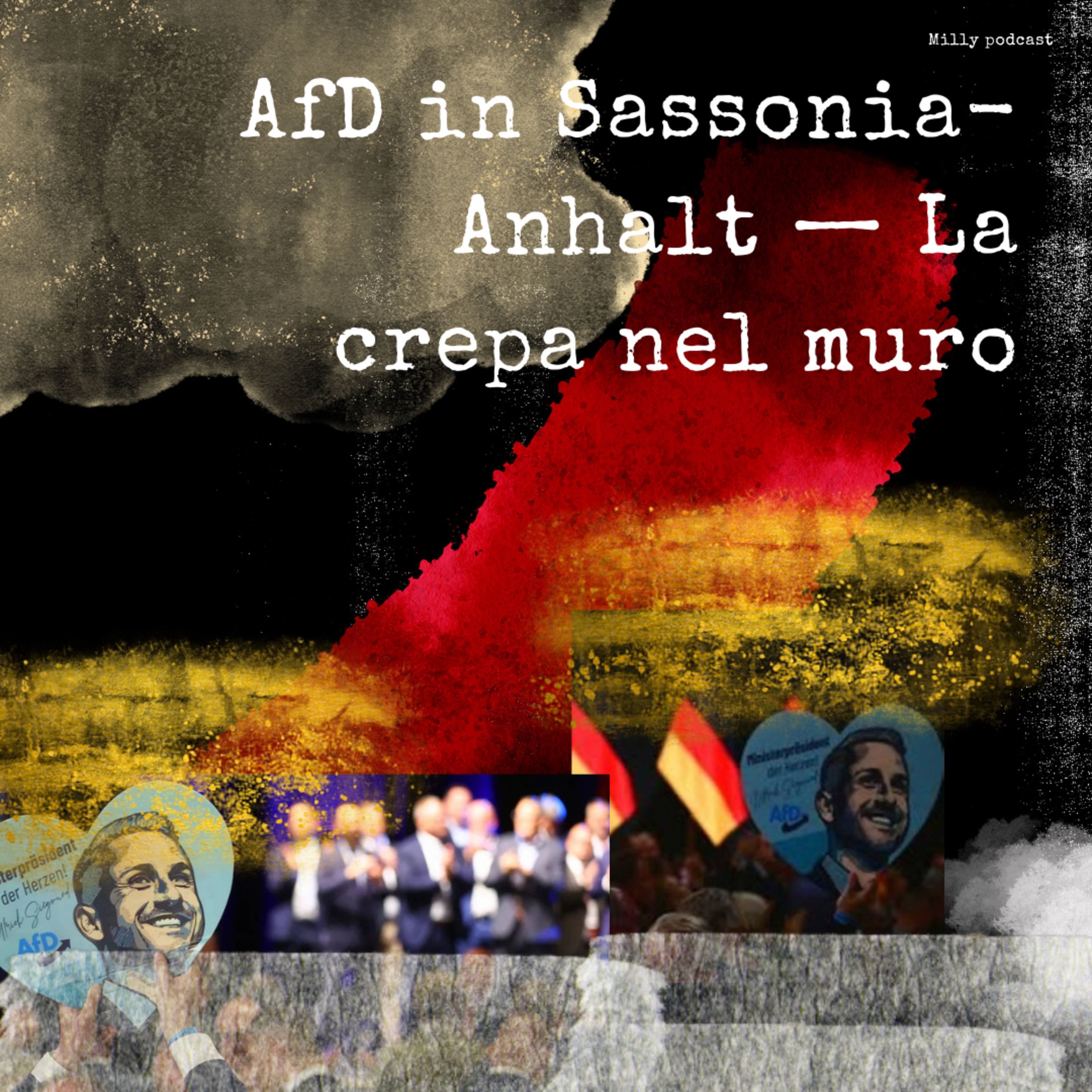 AfD in Sassonia-Anhalt — La crepa nel muro episode artwork