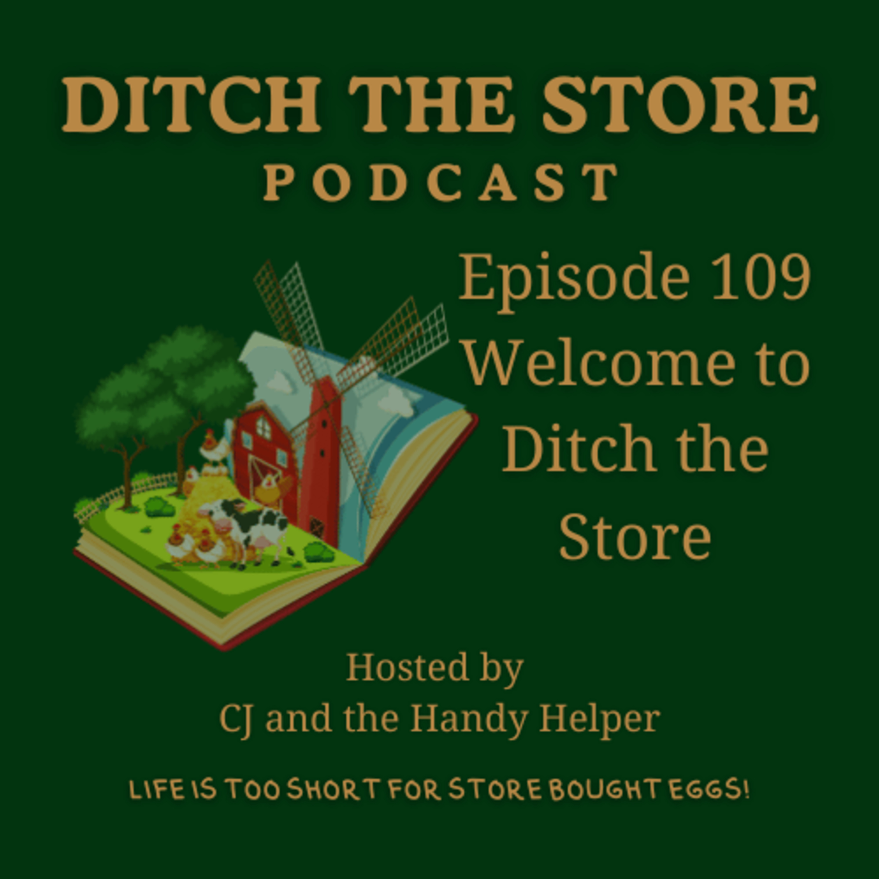 Ditch The Store