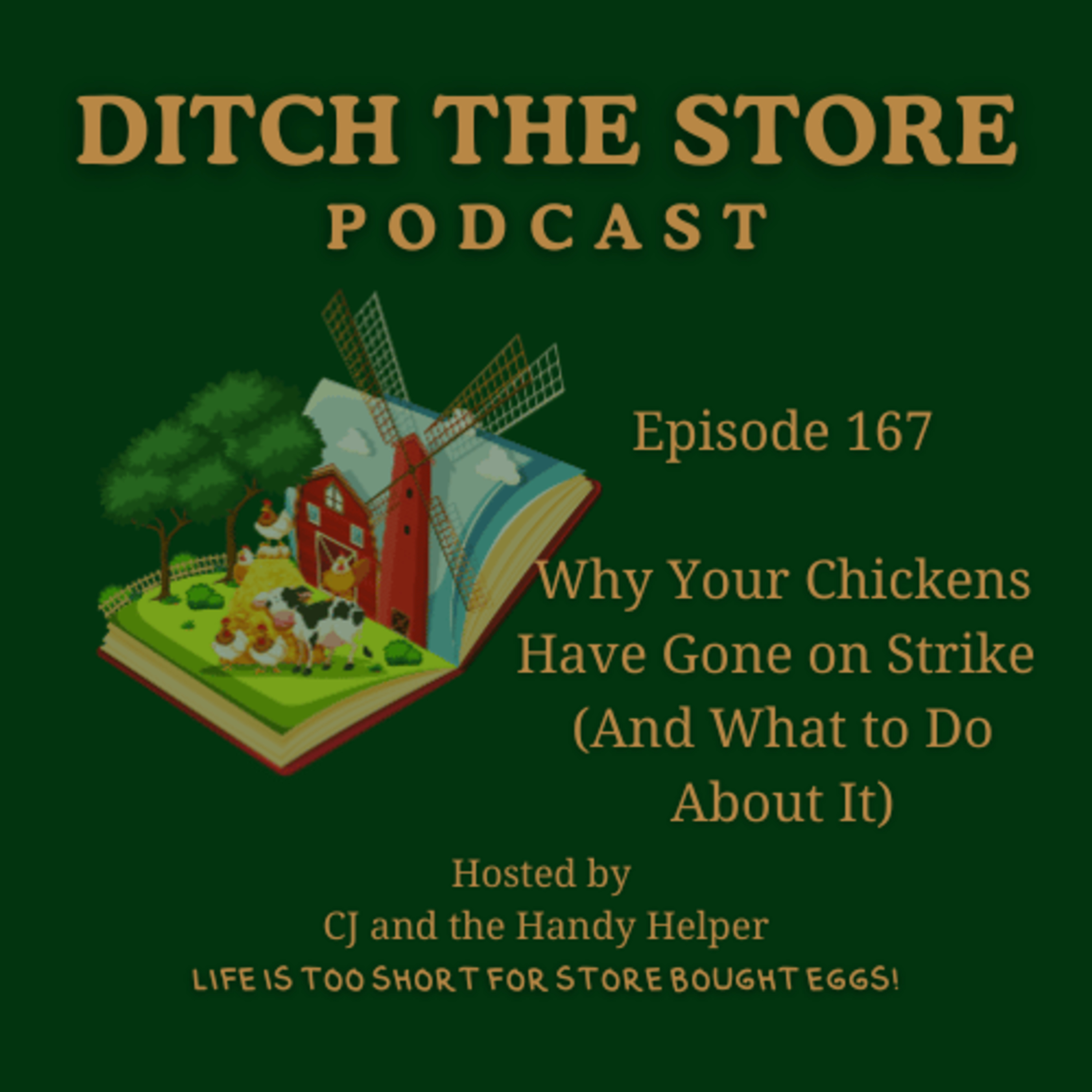 Episode 167: Why Your Chickens Have Gone on Strike (and What You Can Do About It) episode artwork