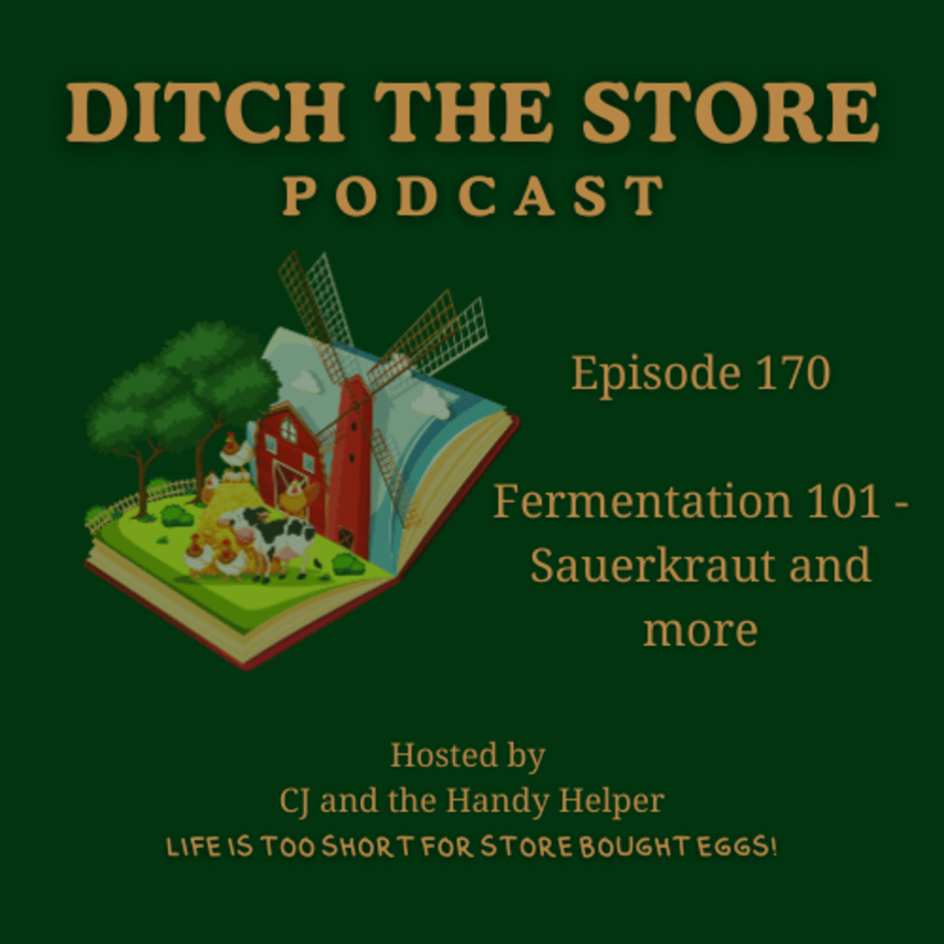 Episode 170 - Fermentation 101 — Sauerkraut & More episode artwork