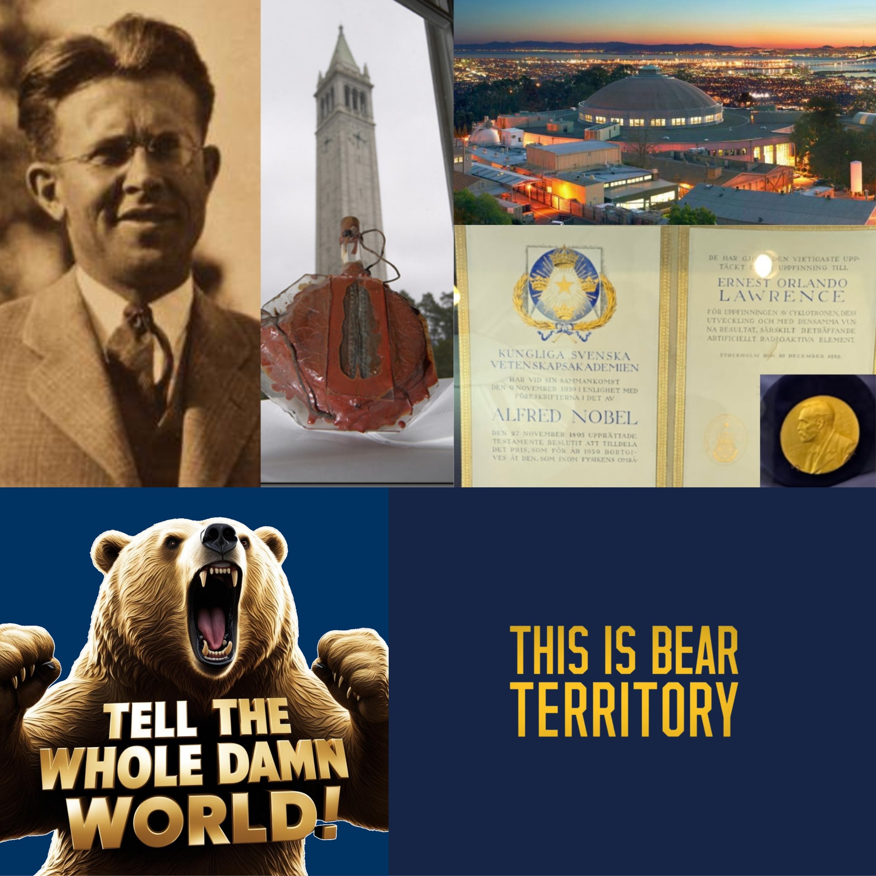 TELL THE WHOLE DAMN WORLD!