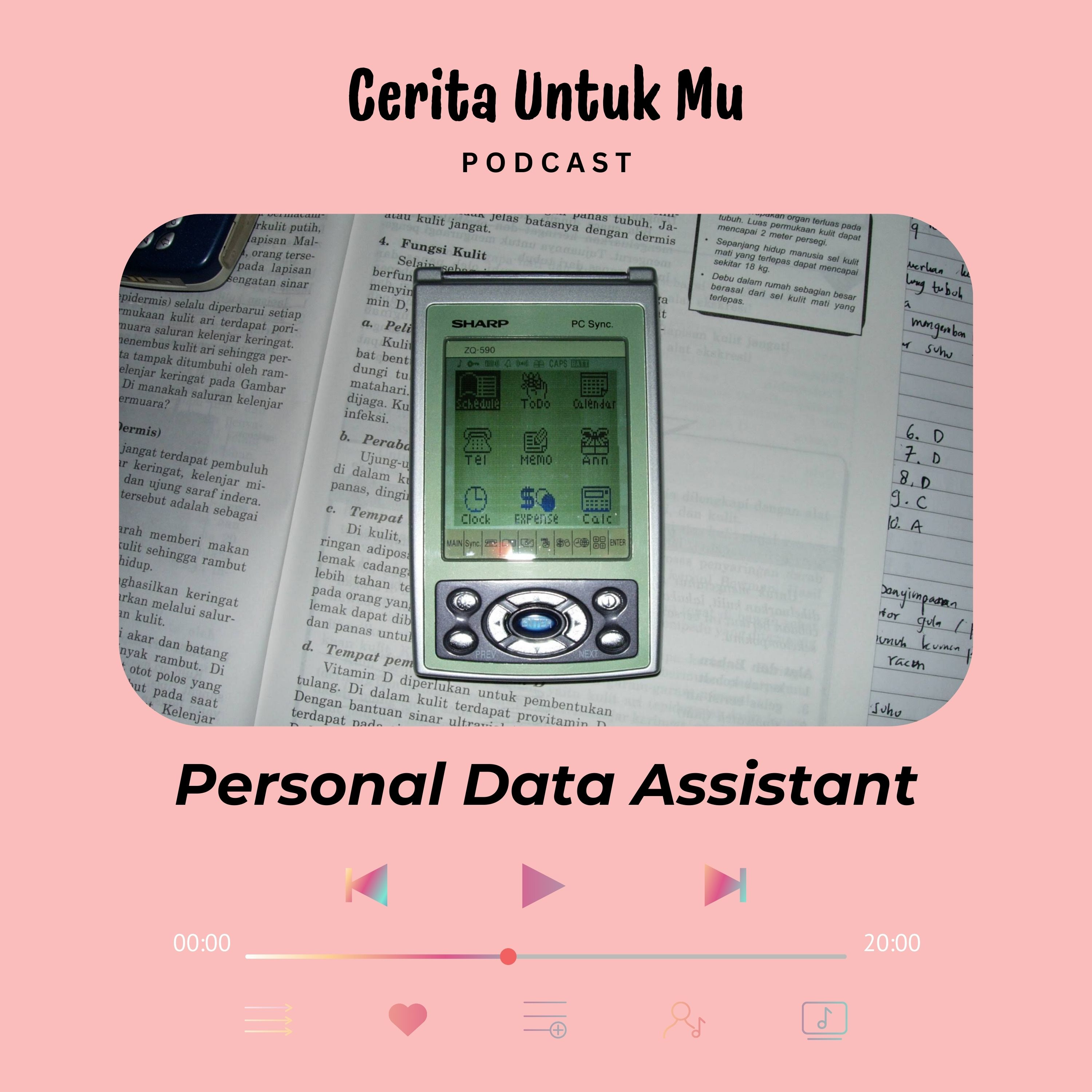 Personal Data Assistant episode artwork