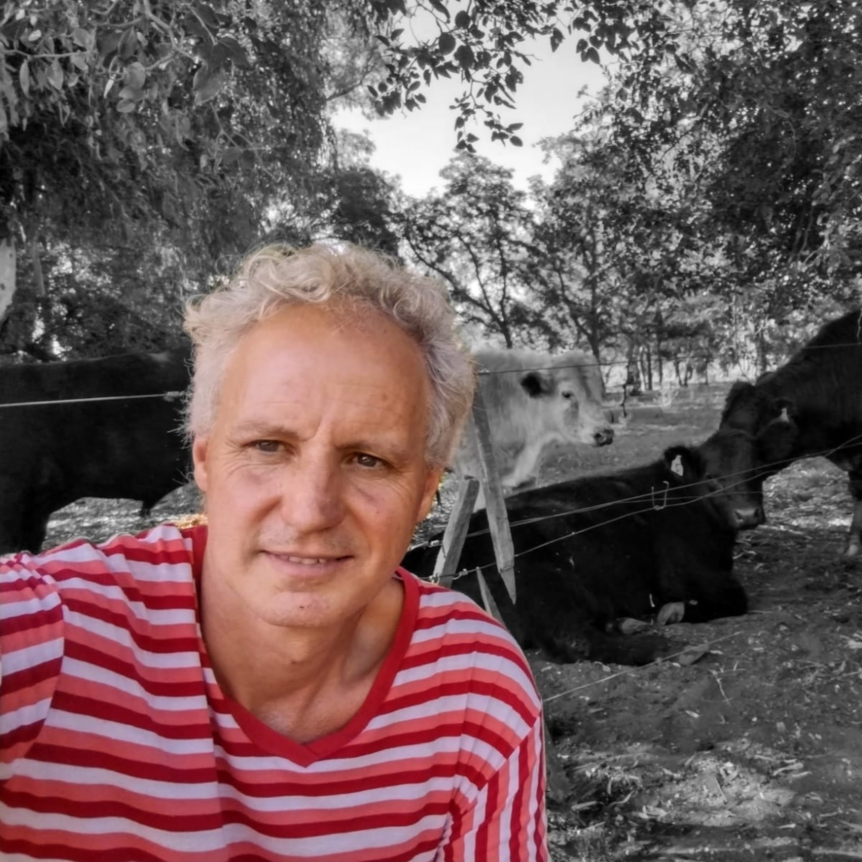 Cambió el taxi por las vacas episode artwork