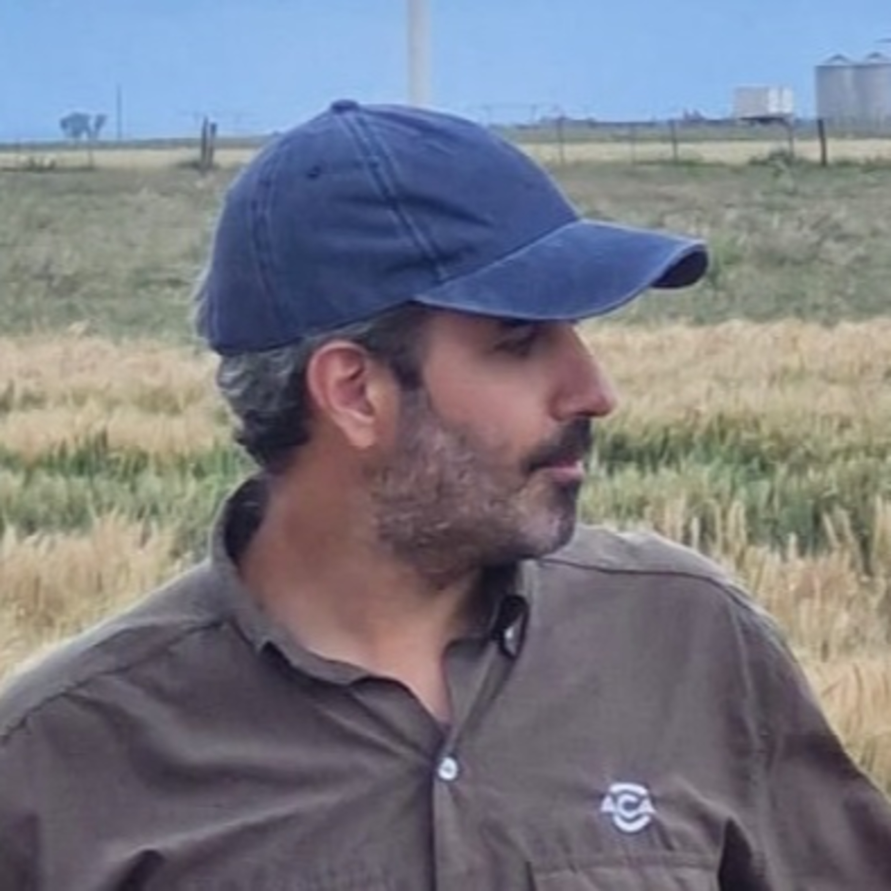 Sector Agropecuario