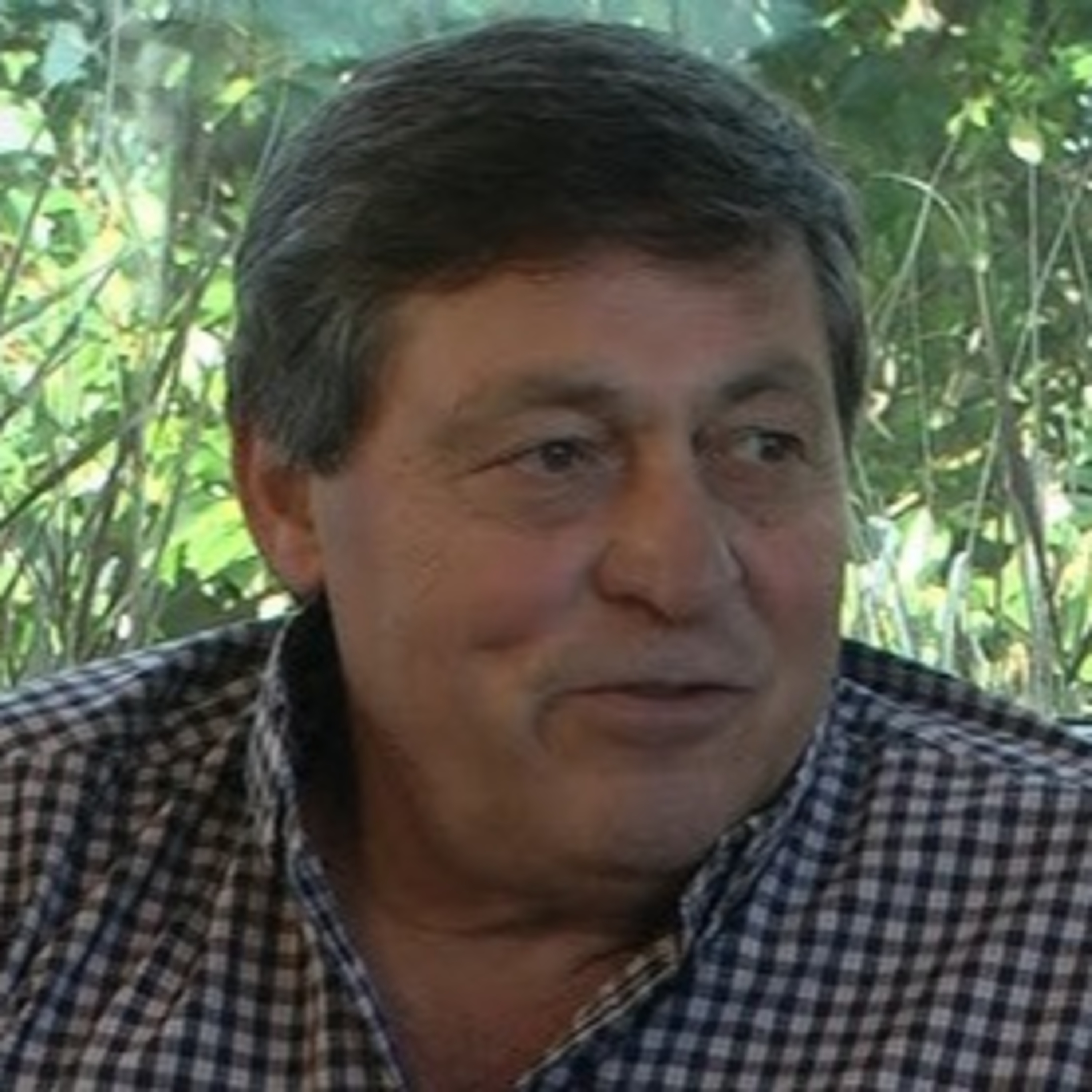 Capeloni: "En trigo necesitaríamos tres nomencladores para vender en distintos grupos" episode artwork