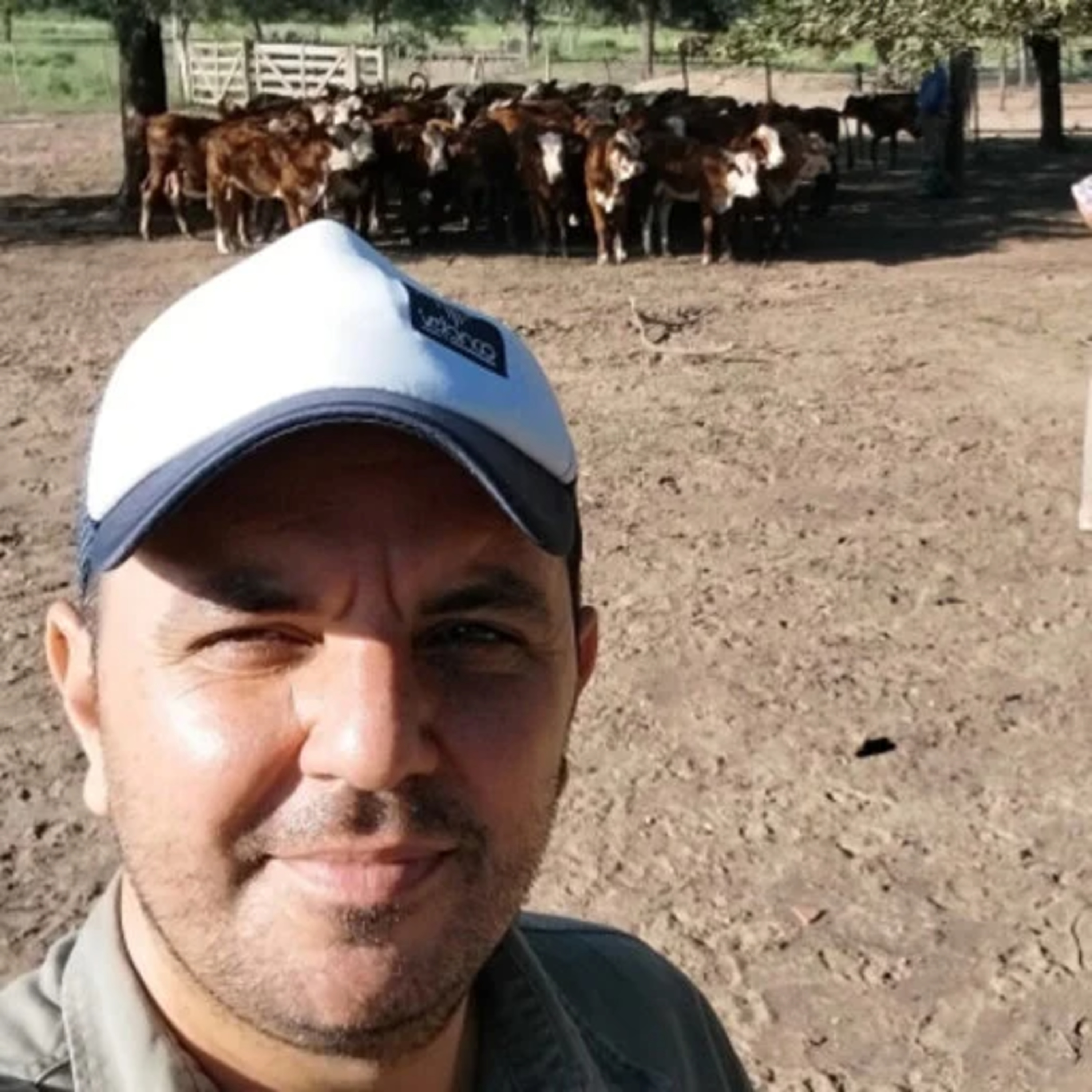 Conociendo el sistema productivo ganadero en Formosa episode artwork