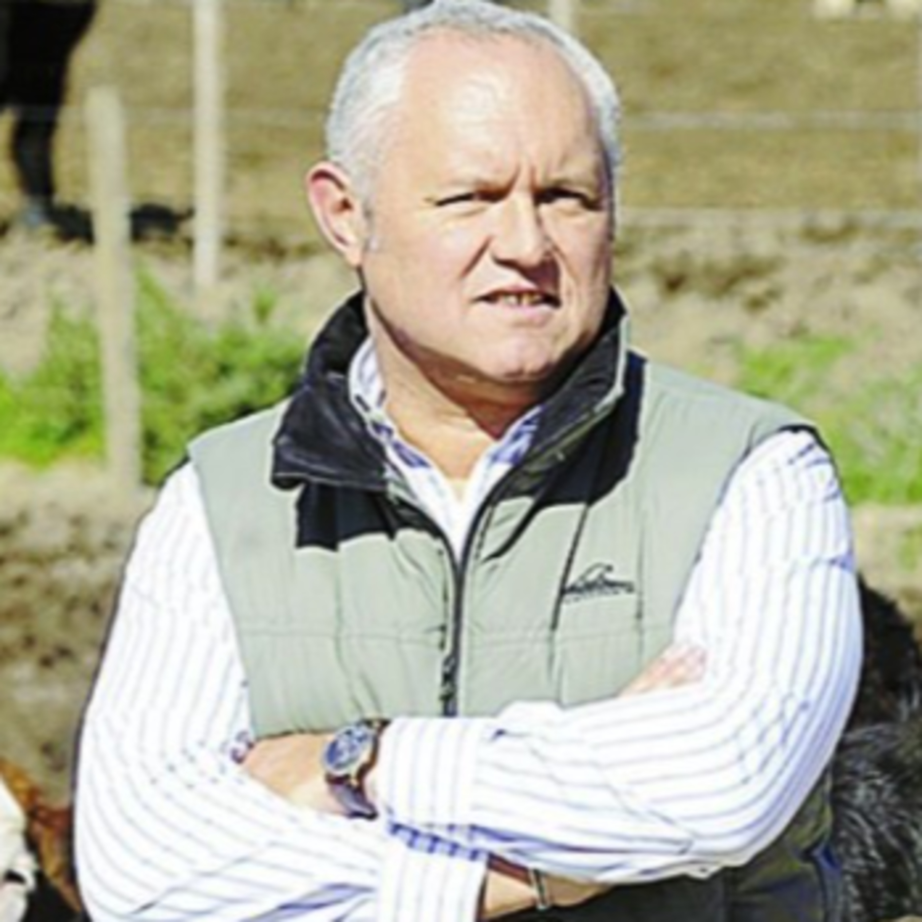 Feedlots: Alta ocupación pero rentabilidad ajustada episode artwork