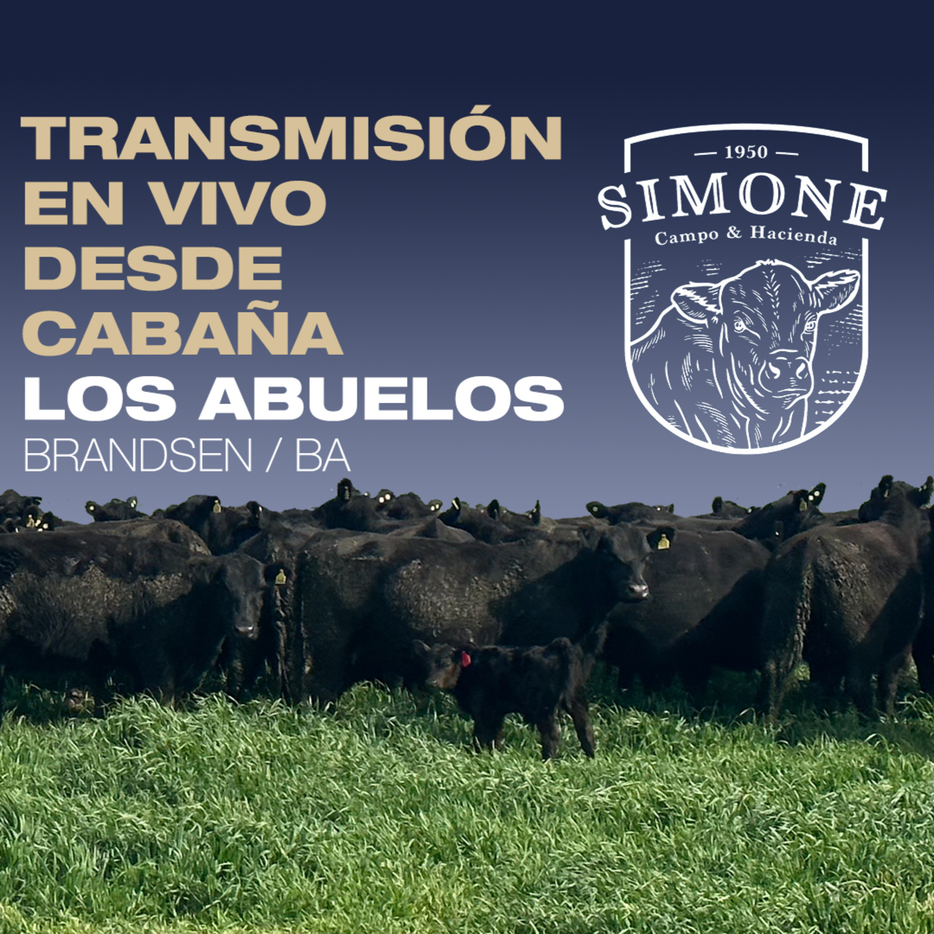 Programa especial desde Cabaña Los Abuelos episode artwork