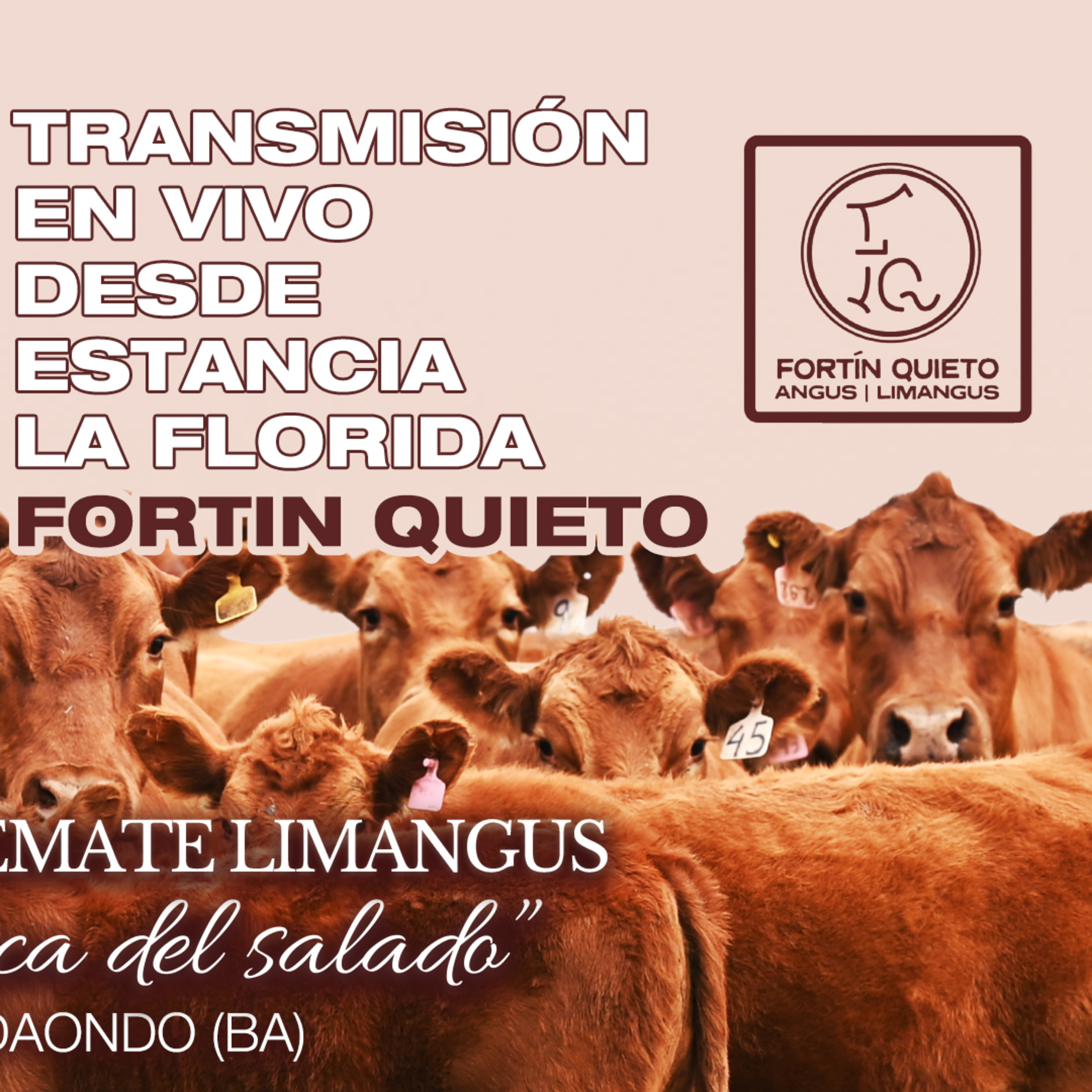 Programa especial desde Estancia La Florida episode artwork