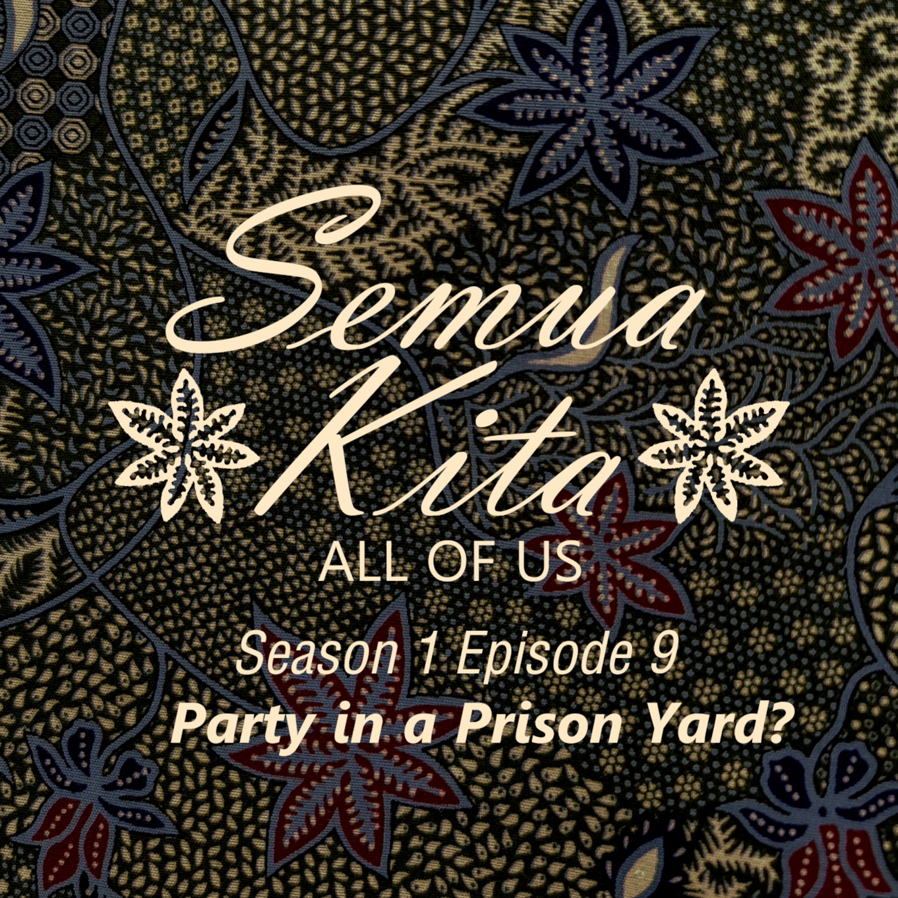 S01E09 Party In A Prison Yard? episode artwork