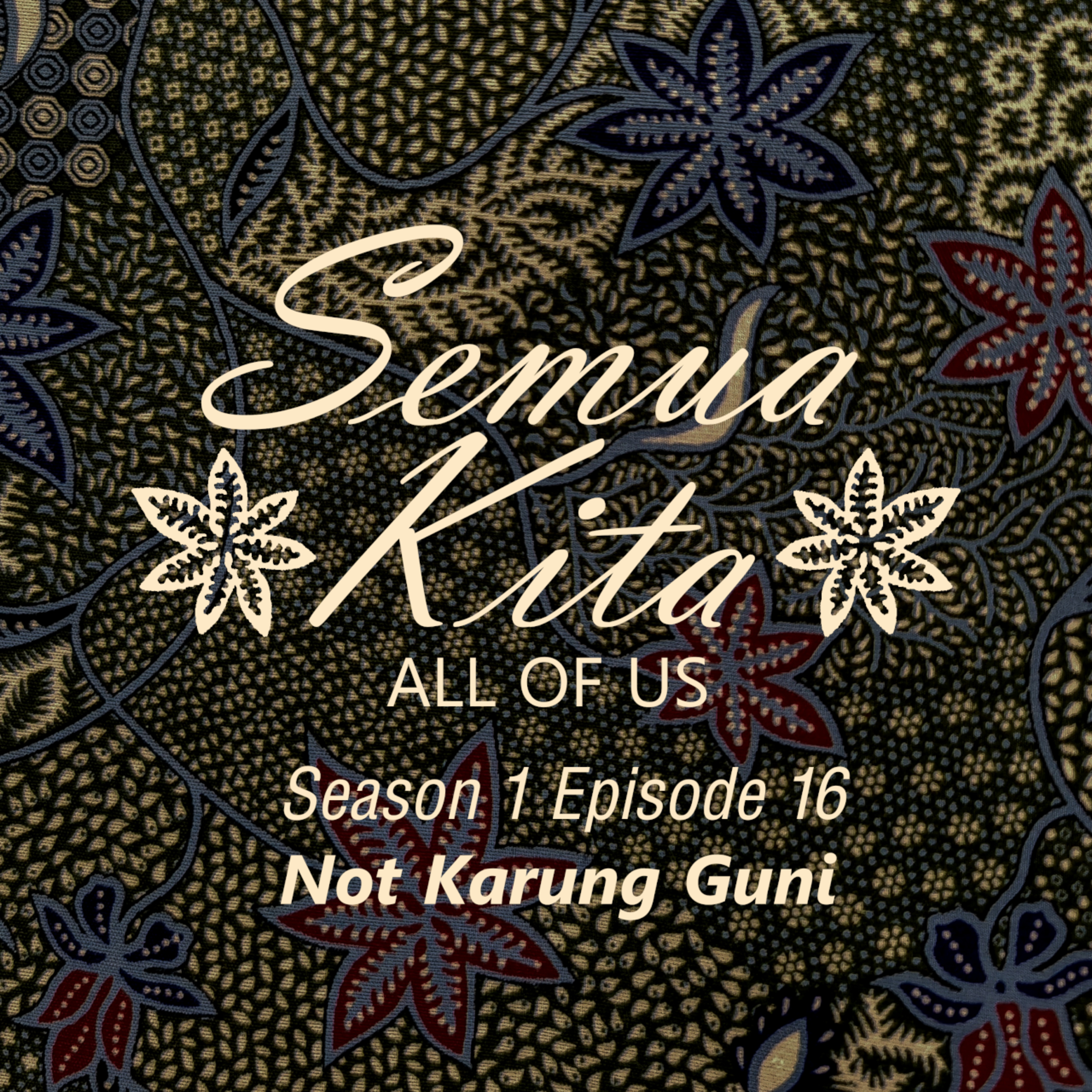 S01E16 Not Karung Guni episode artwork
