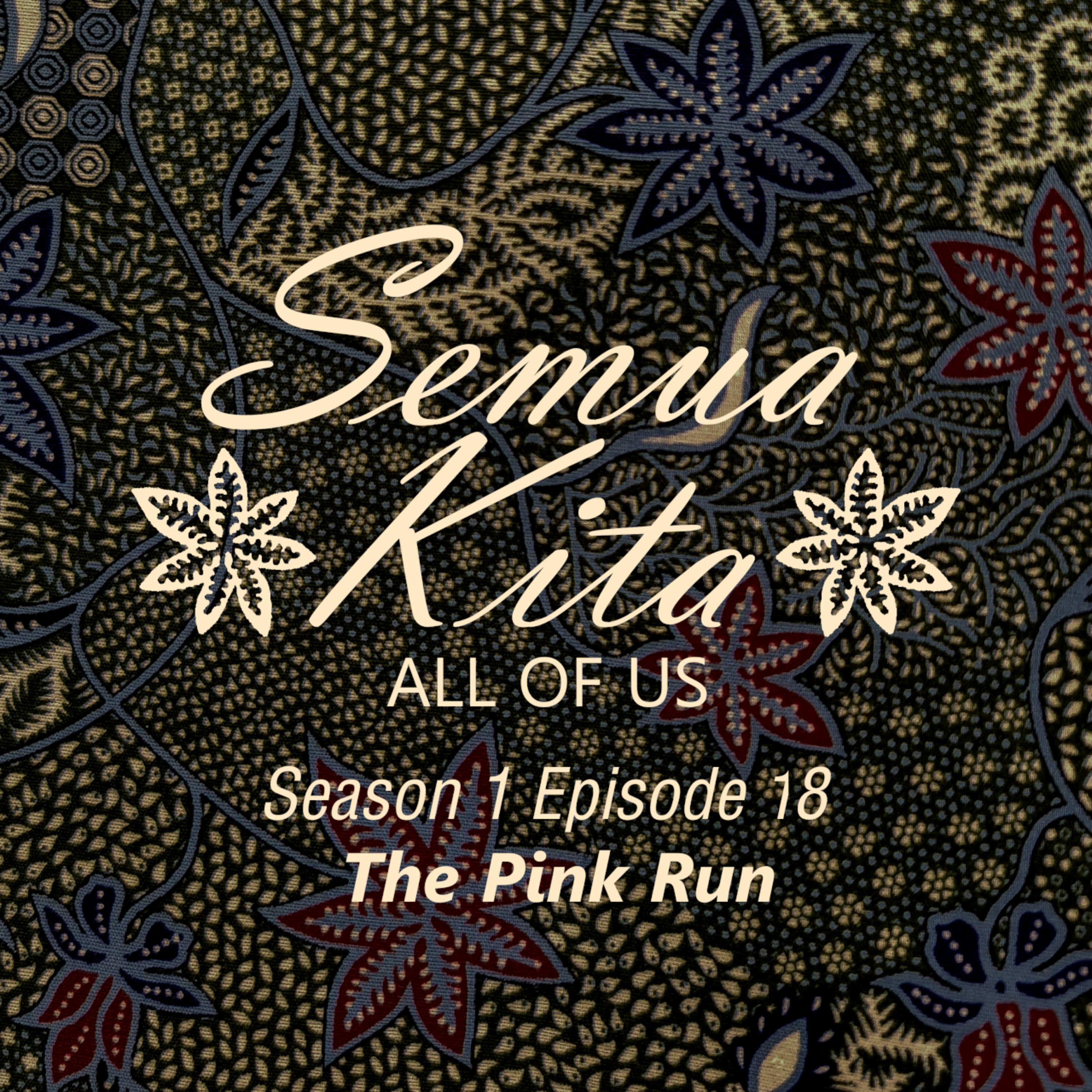 S01E18 The Pink Run episode artwork