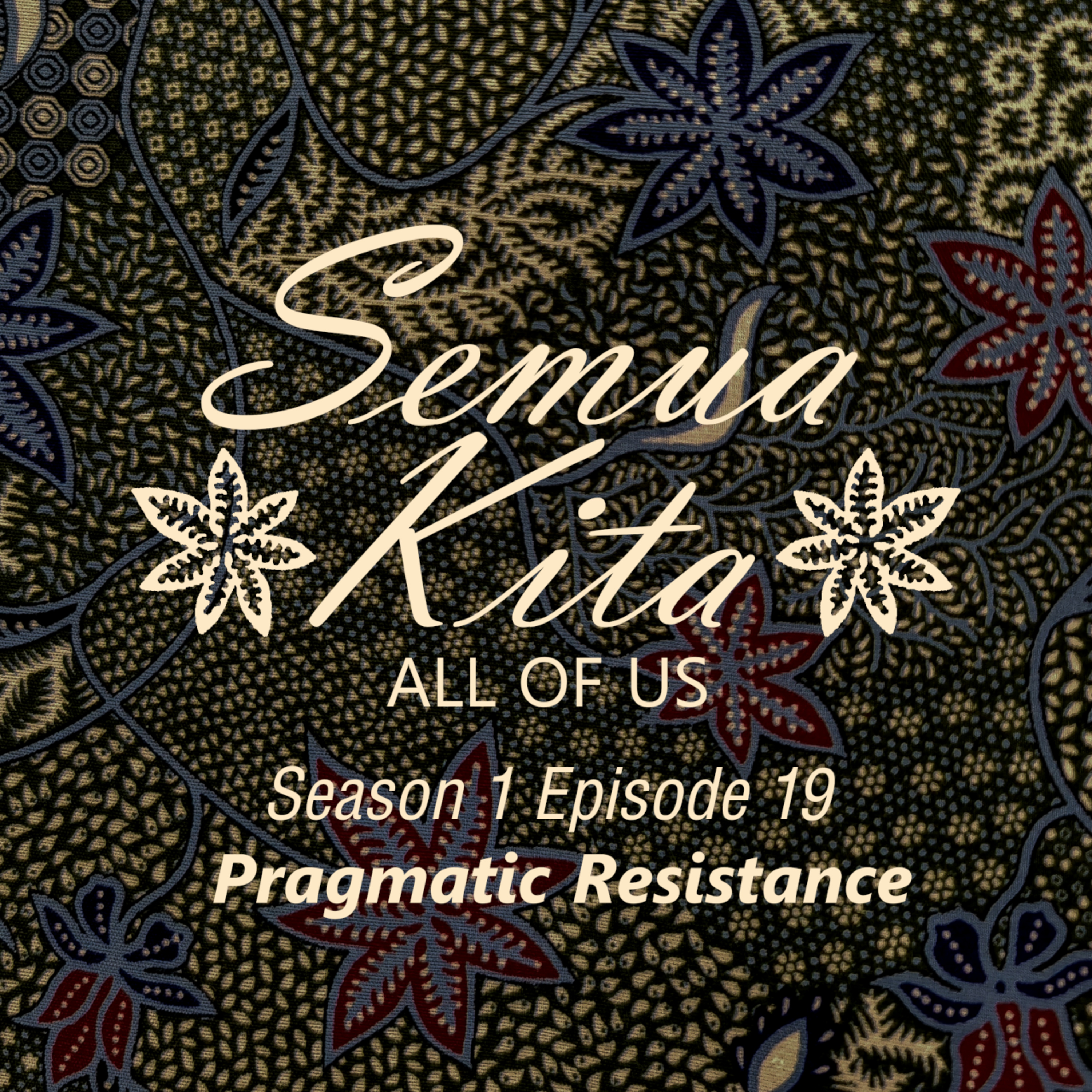 S01E19 Pragmatic Resistance episode artwork